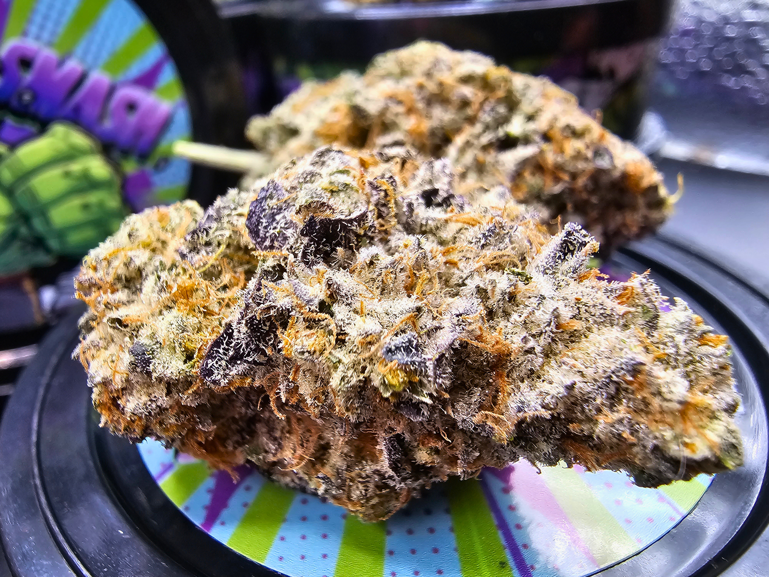 achat thca , thca france , fleurs thca , hulk smash fleurs rare , jungle dream thcp