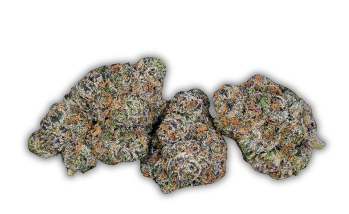achat thca achat 10 oh achat thc achat thca , fleur thca , flower thca , thca france , shop thca , acheter du thca , avis thca , jungle dream thca , acheter du thca en france , meilleur site de THCA