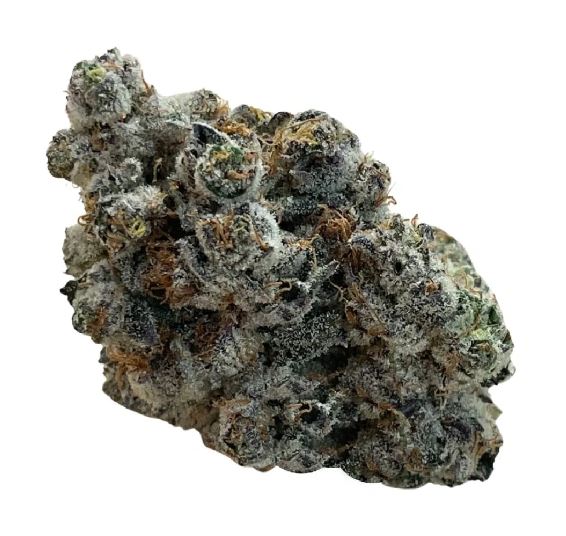 achat thca achat 10 oh achat thc achat thca , fleur thca , flower thca , thca france , shop thca , acheter du thca , avis thca , jungle dream thca , acheter du thca en france , meilleur site de THCA