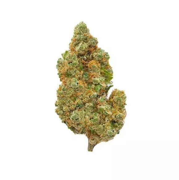 Amnésia Haze Hydro CBD