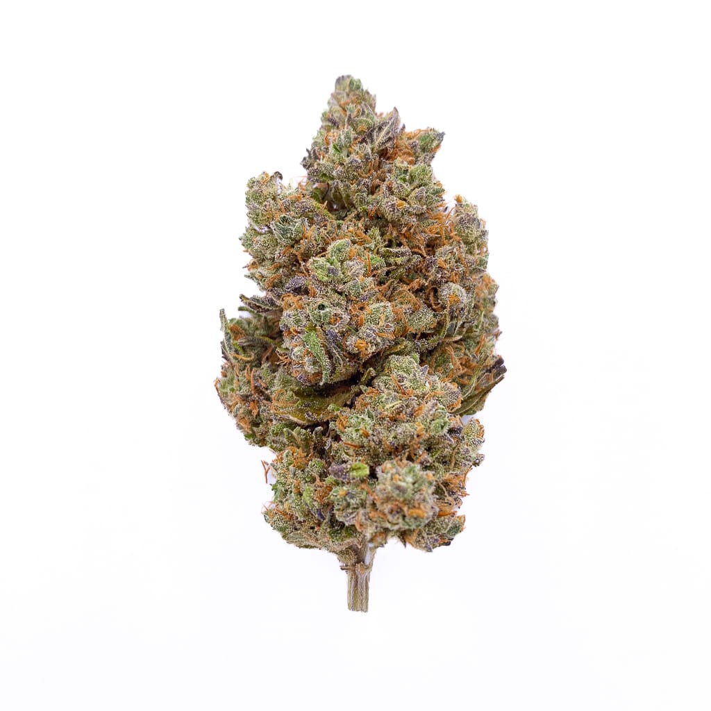 Blackberry Kush Hydro CBD