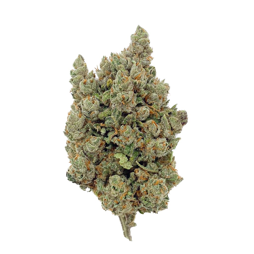Orange Sherbet Hydro CBD