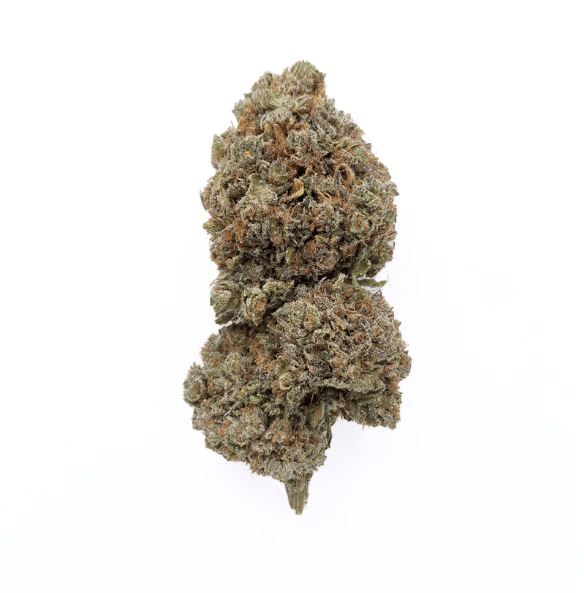 Critical Hydro CBD