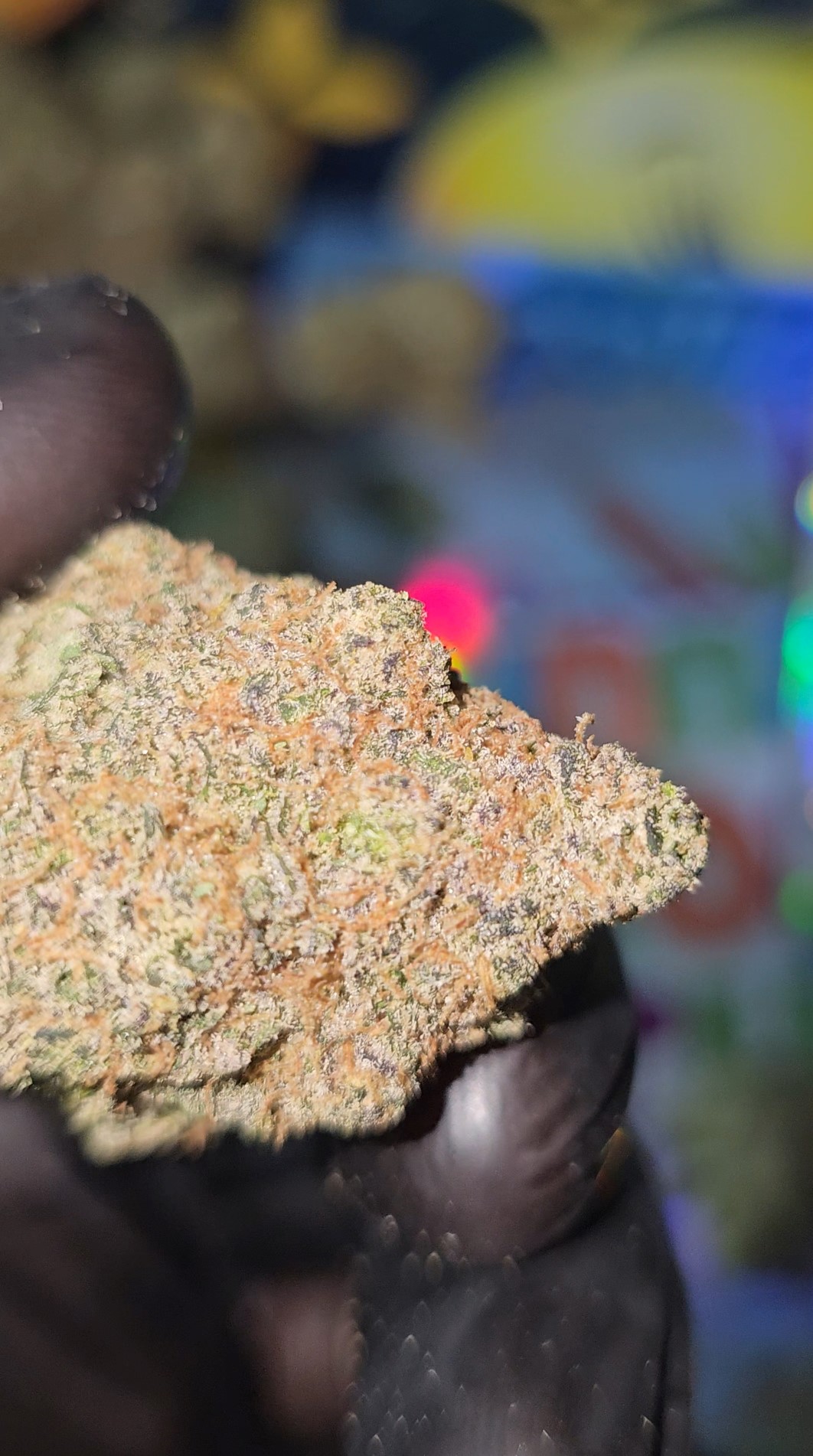 Exotics flower THCA , cinnamon toast crunc thca , achat thca , thca californie , thca naturel , thca etats unis , shop thca , wholesale thca , puff thca , fleurs thca , vape thca , cartdrige thca (2)