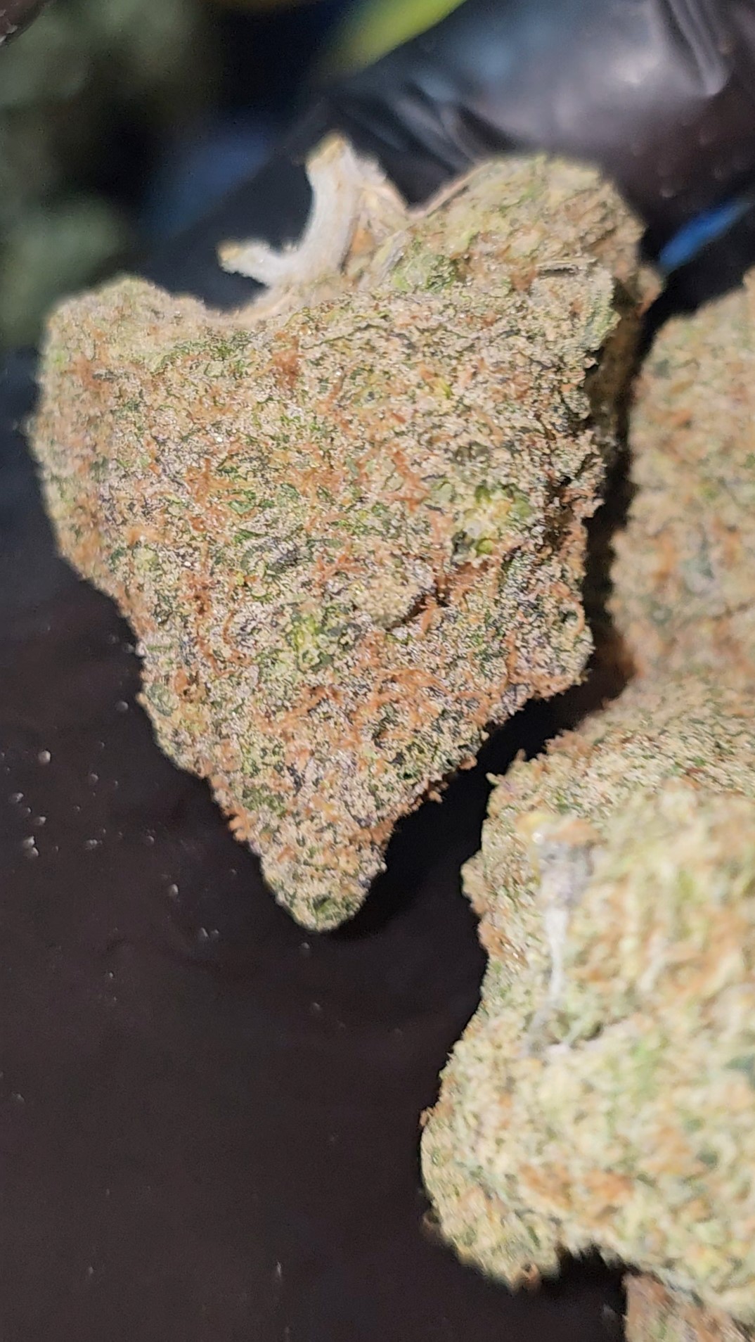Exotics flower THCA , cinnamon toast crunc thca , achat thca , thca californie , thca naturel , thca etats unis , shop thca , wholesale thca , puff thca , fleurs thca , vape thca , cartdrige thca (2)