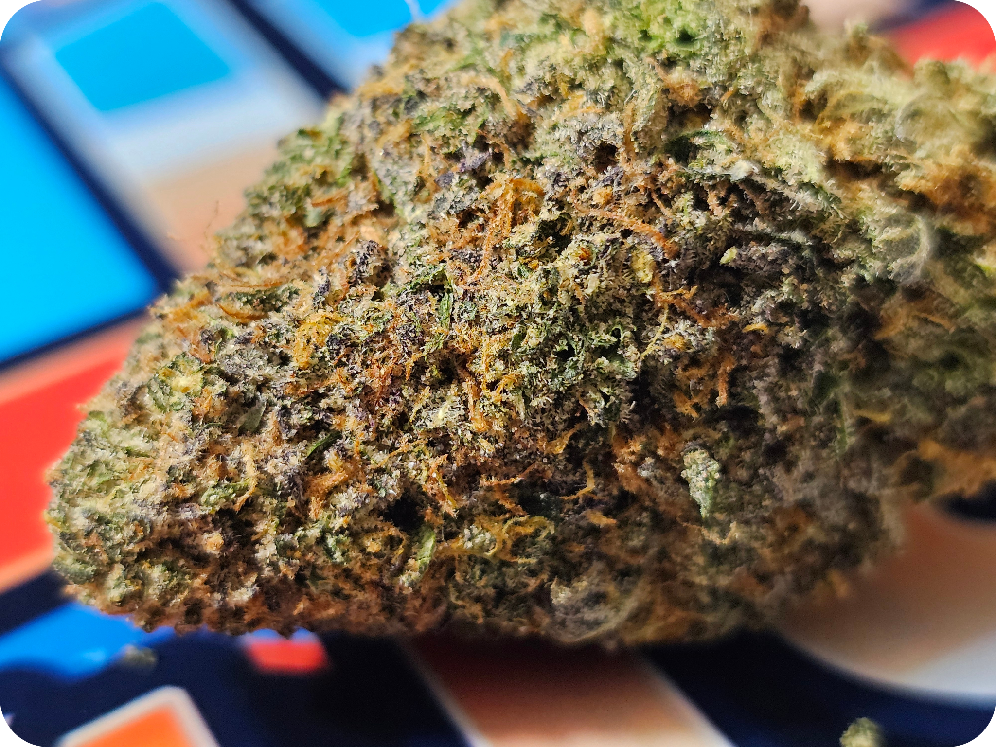 fleur thca , blue zushi  thca , resine thca , cali thca , thca californie , puff thca , vape thca , avis thca , thca france., blue zushi jungle dream thca png