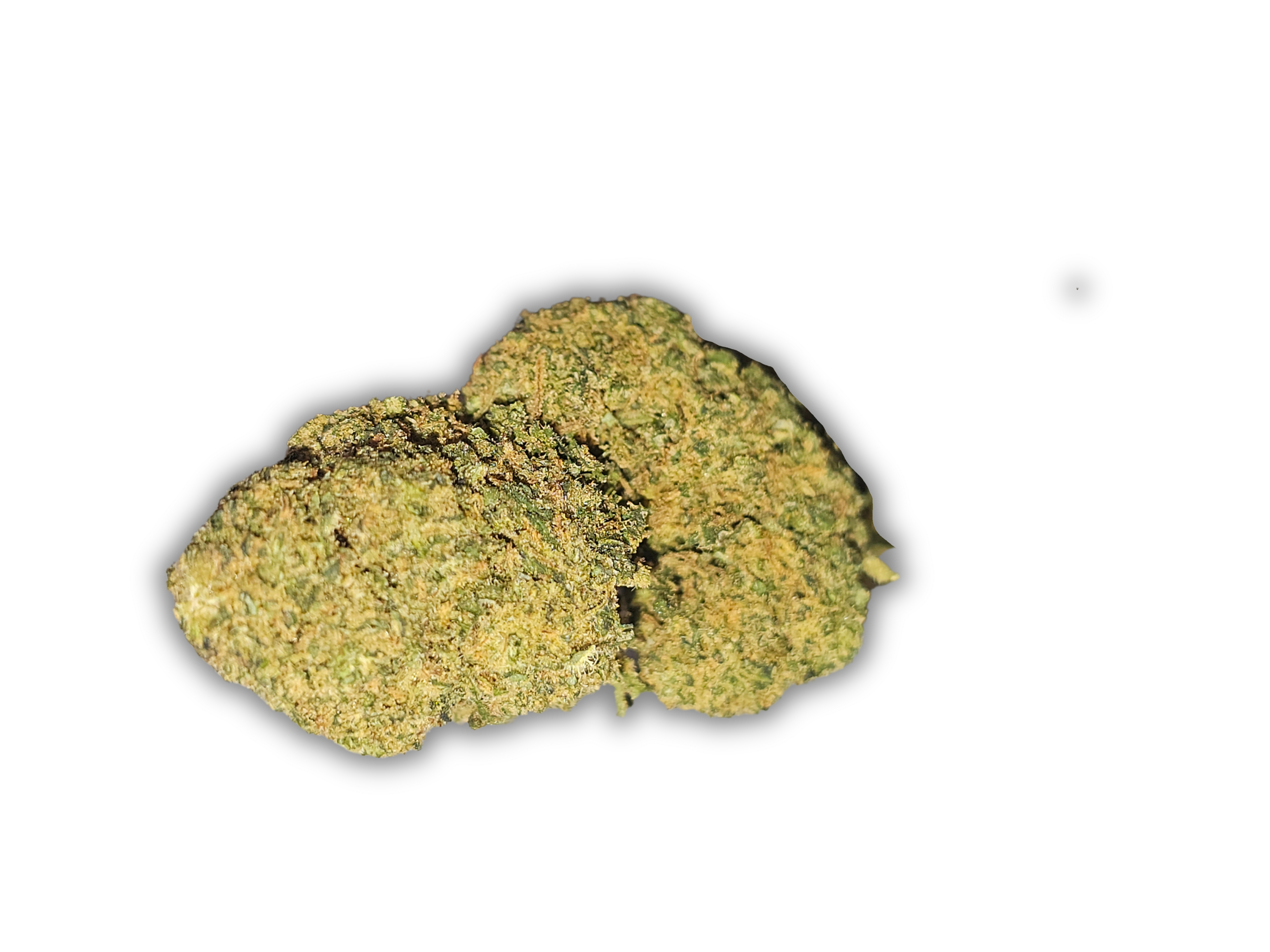 Super Skunk CBD glasshouse