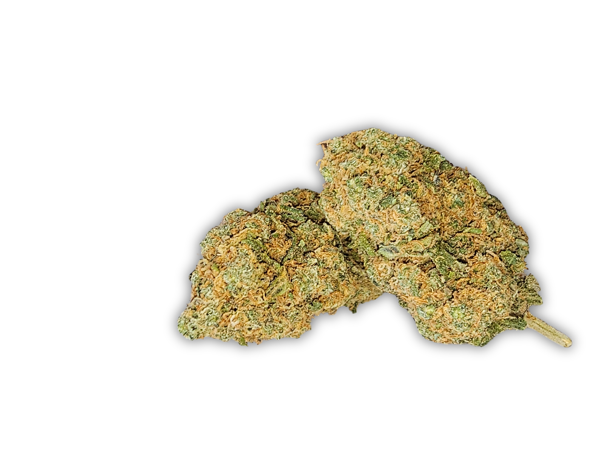 blue muffin cbd  glasshouse
