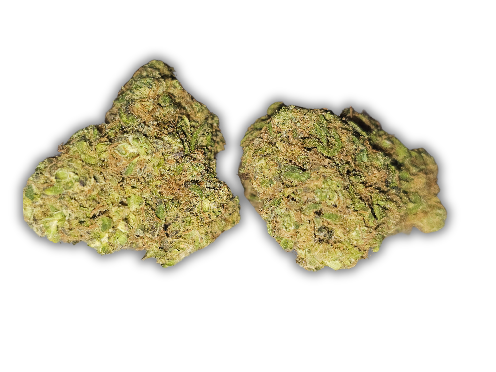 cheese CBD glasshouse