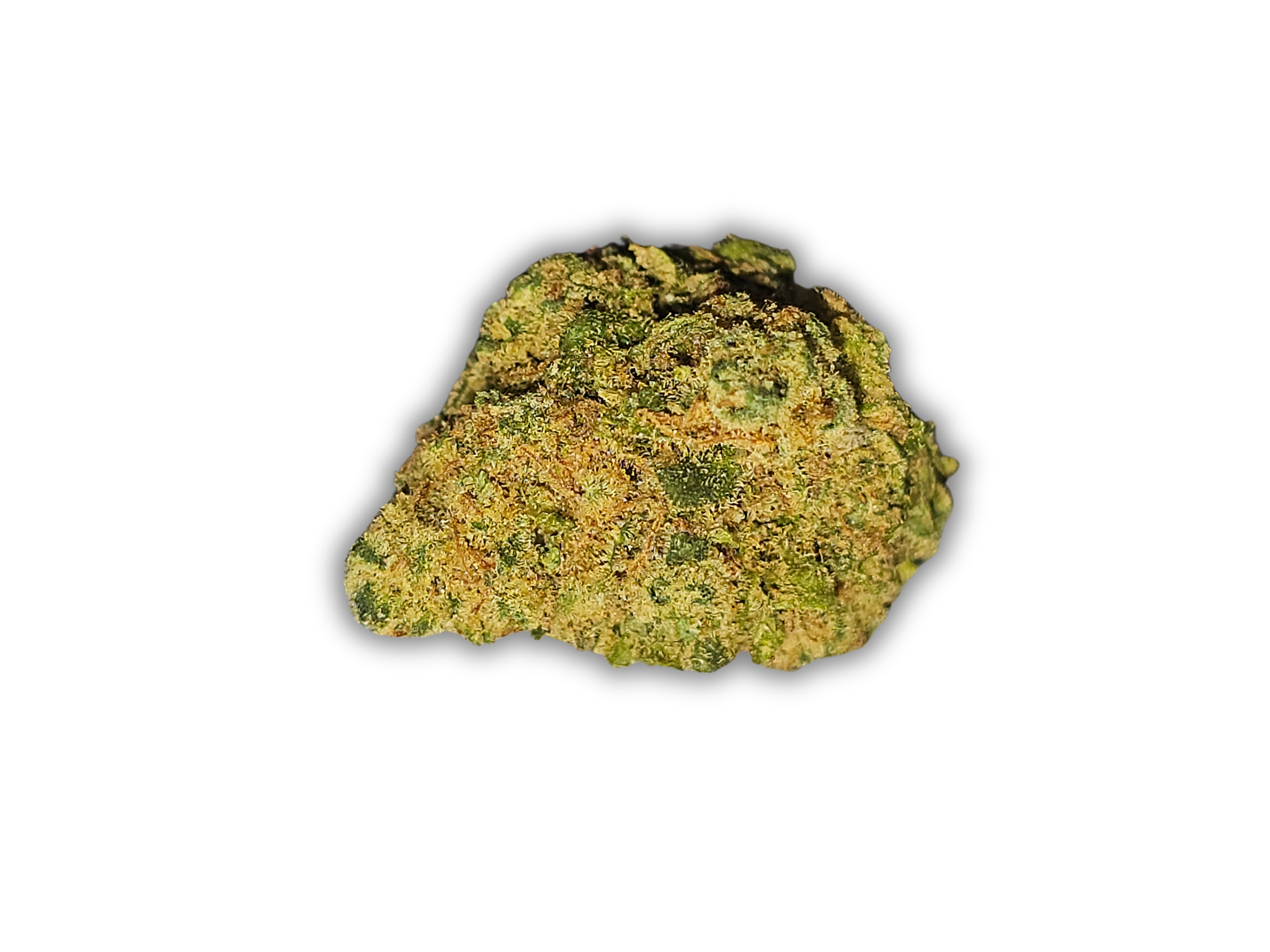 Moby Dick cbd glassehouse