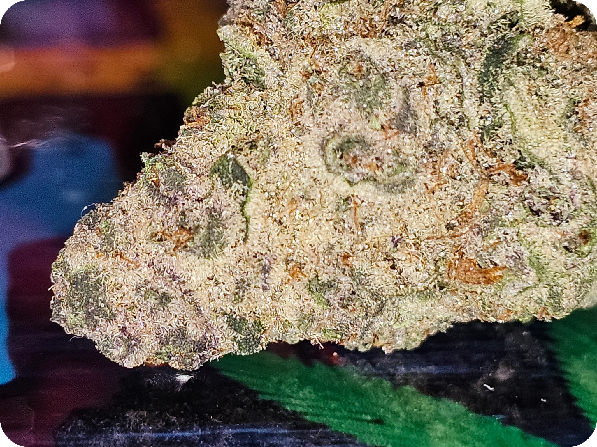 achat thca , fleurs thca , hash thca , jungle dream thca , effet thca , thca californie, shop thca TIRAMITSU