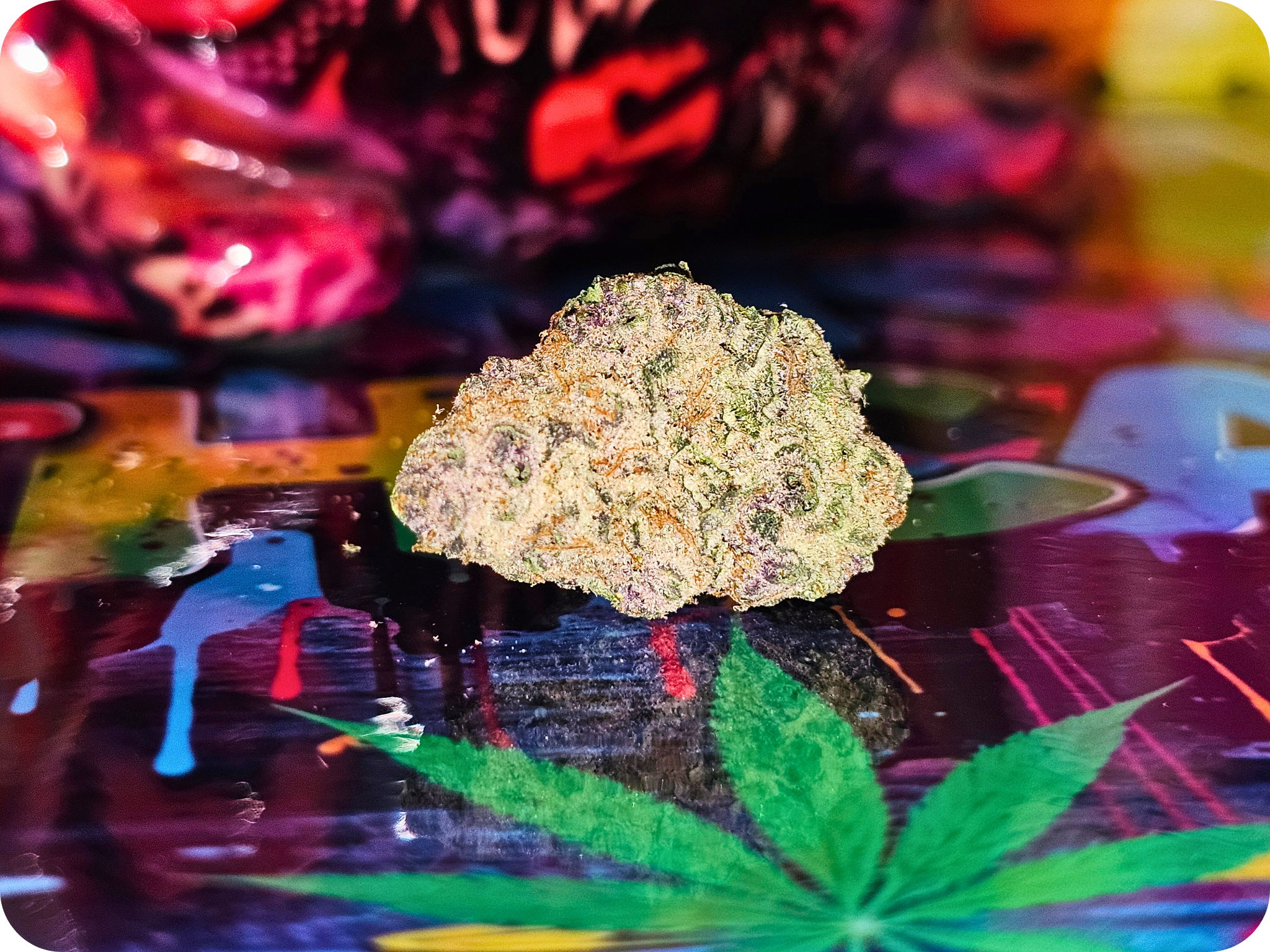 achat thca , fleurs thca , hash thca , jungle dream thca , effet thca , thca californie, thca