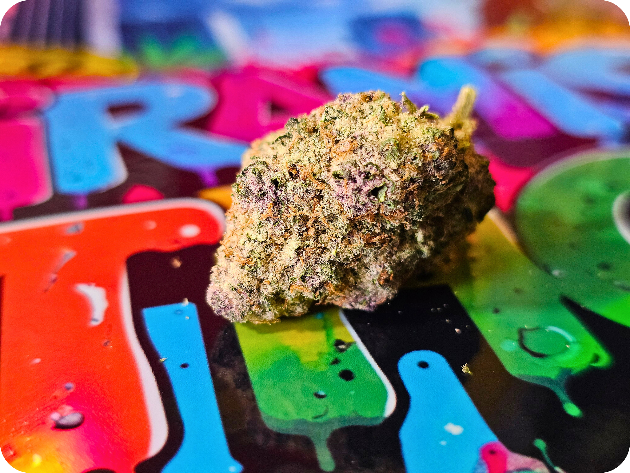 achat thca , fleurs thca , hash thca , jungle dream thca , france thca , thca californie, effet thca