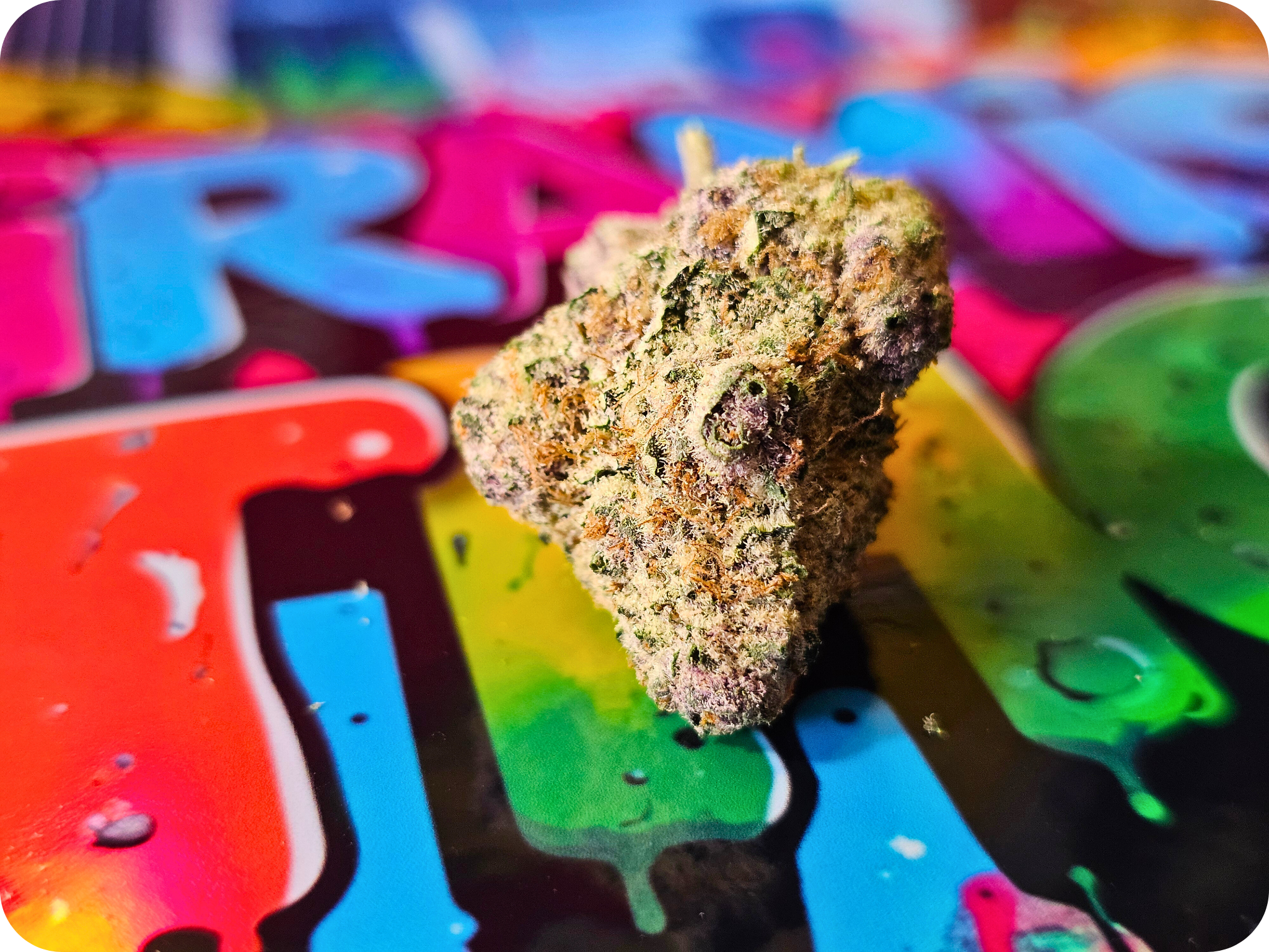 achat thca , fleurs thca , hash thca , jungle dream thca , france thca , thca californie, thca