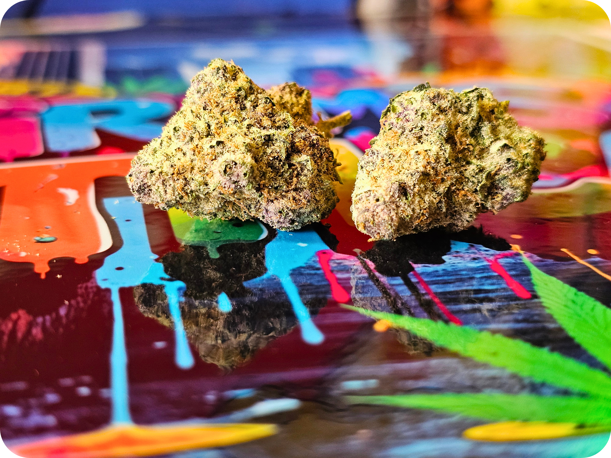 achat thca , fleurs thca , hash thca , jungle dream thca , france thca , thca californie, naturel thca