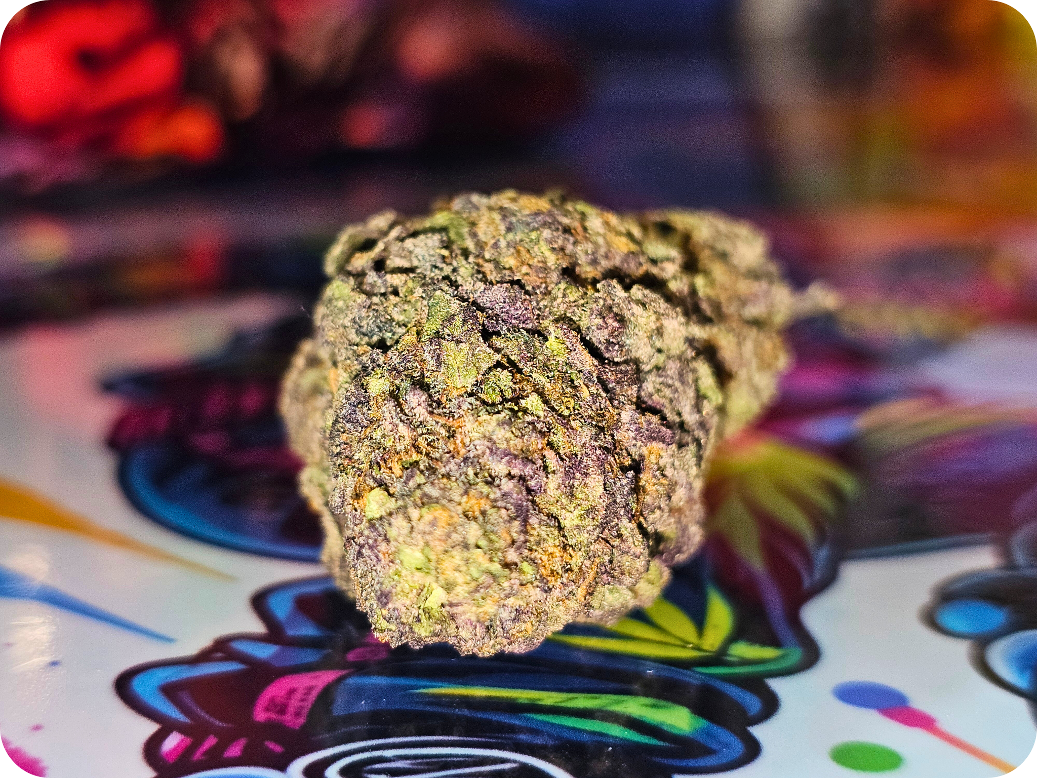 ACHAT THCA , fleurs thca , shop thca, jungle dream thca , leaf gold thca , shop thca , resine thca snowman