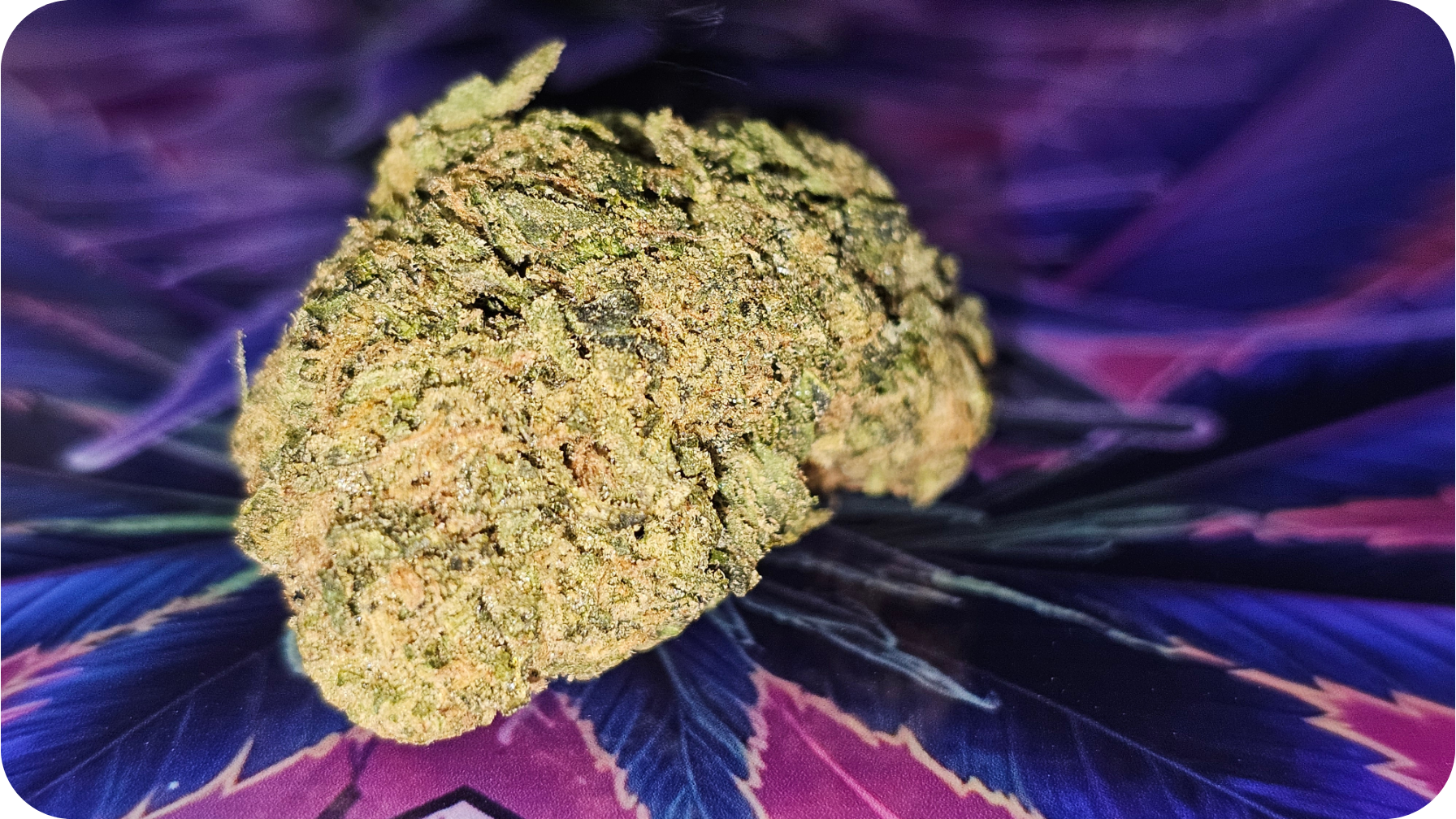 achat thca , thca france , jungle dream thca ,