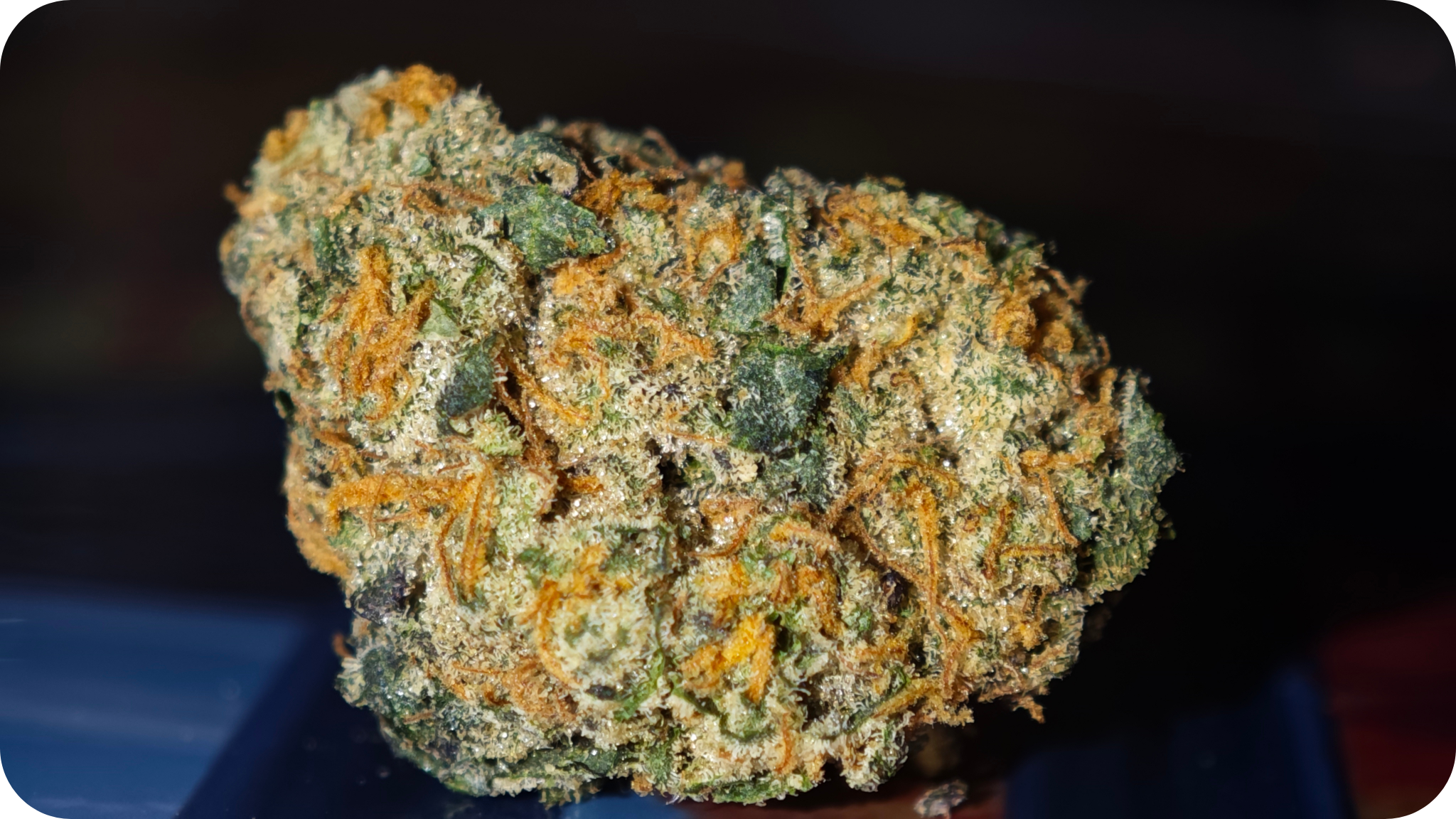 ACHAT THCA , THCA JUNGLE DREAM , THCA SHOP , THCA JET FUEL , HASH THCA , FLOWERS THCA