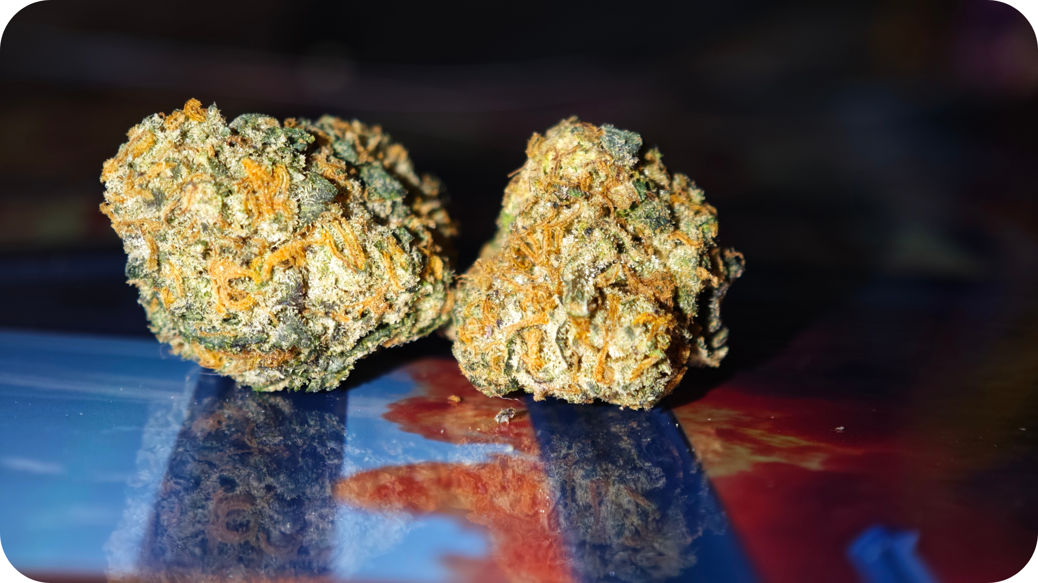 ACHAT THCA , THCA JUNGLE DREAM , THCA SHOP , THCA JET FUEL   THCA FRANCE , SHOP THCA