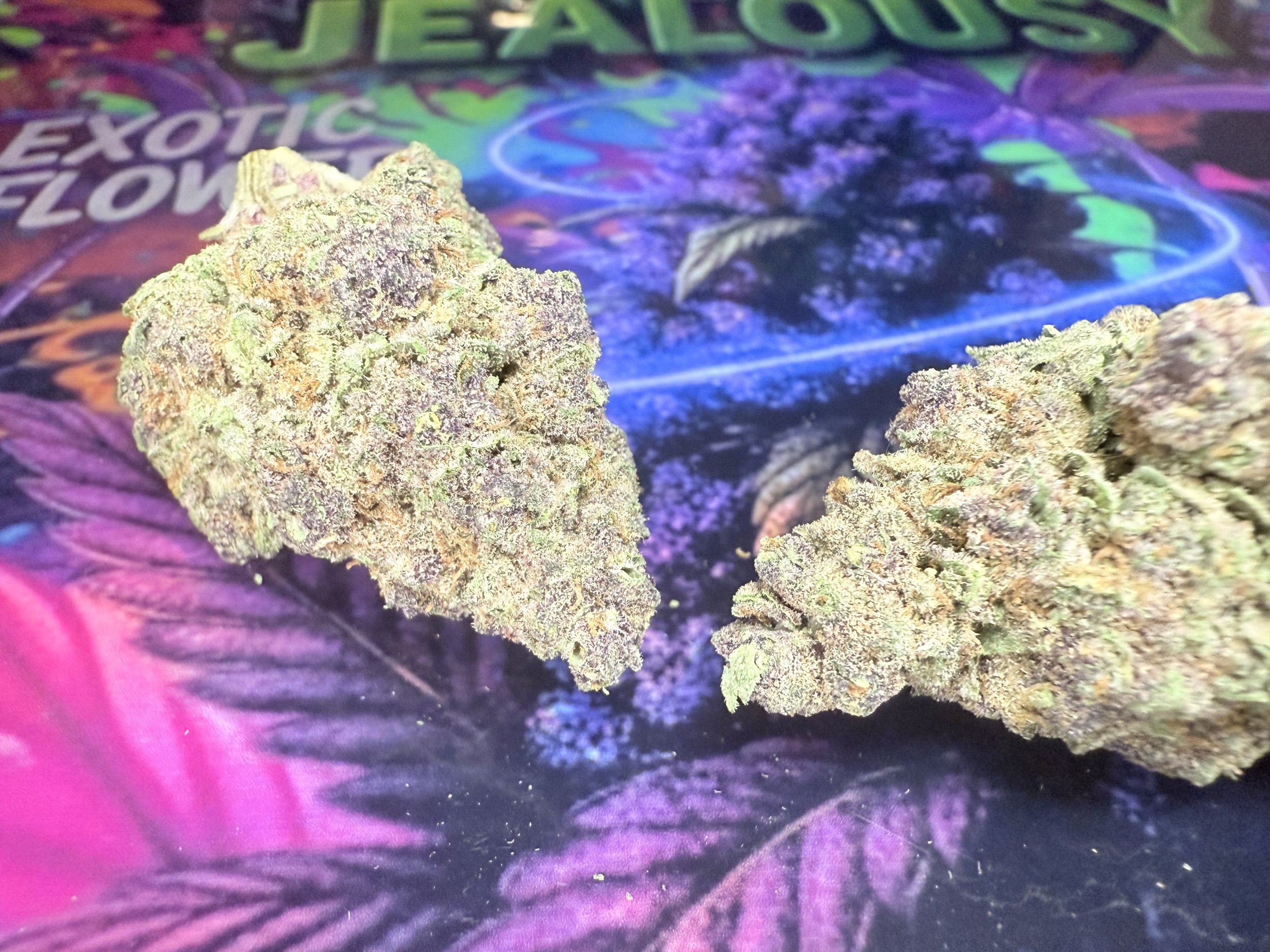 THCA PURPLE HAZE x JEALOUSY1