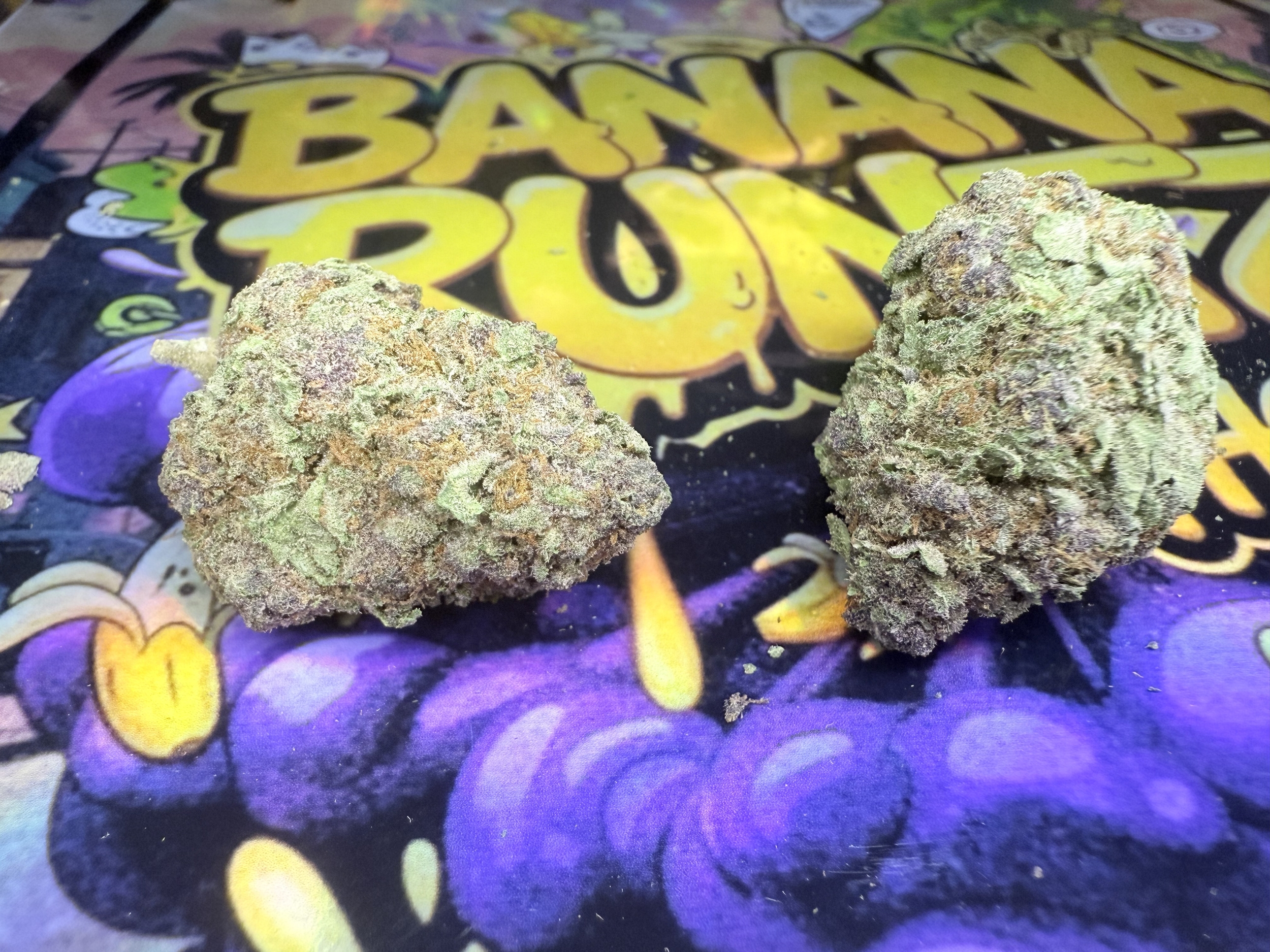 BANANA RUNTZ THCA JUNGLE DREAM