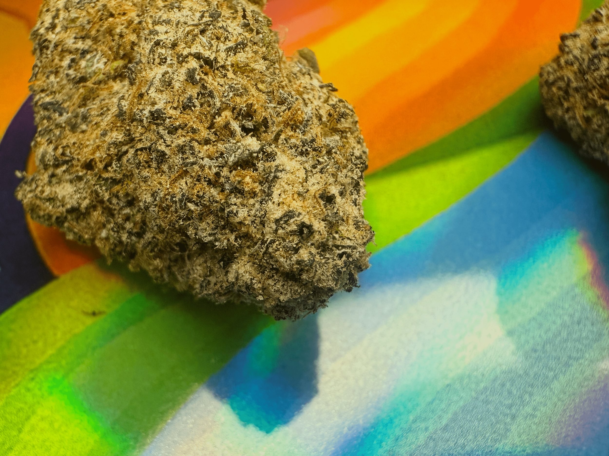 fleurs GELATO 41 jungle dream thca - thca france - thca non vaporisé - cali thca - thca usa -min