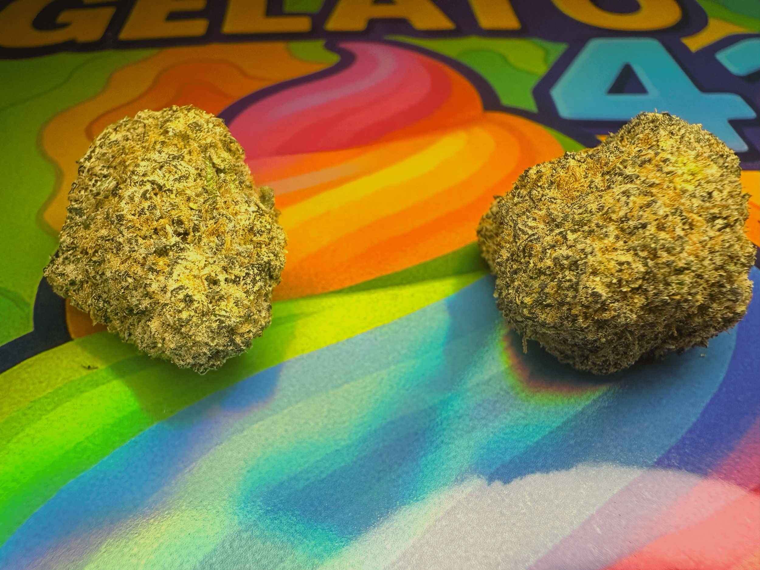fleurs2 GELATO 41 jungle dream thca - thca france - thca non vaporisé - cali thca - thca usa .png-min
