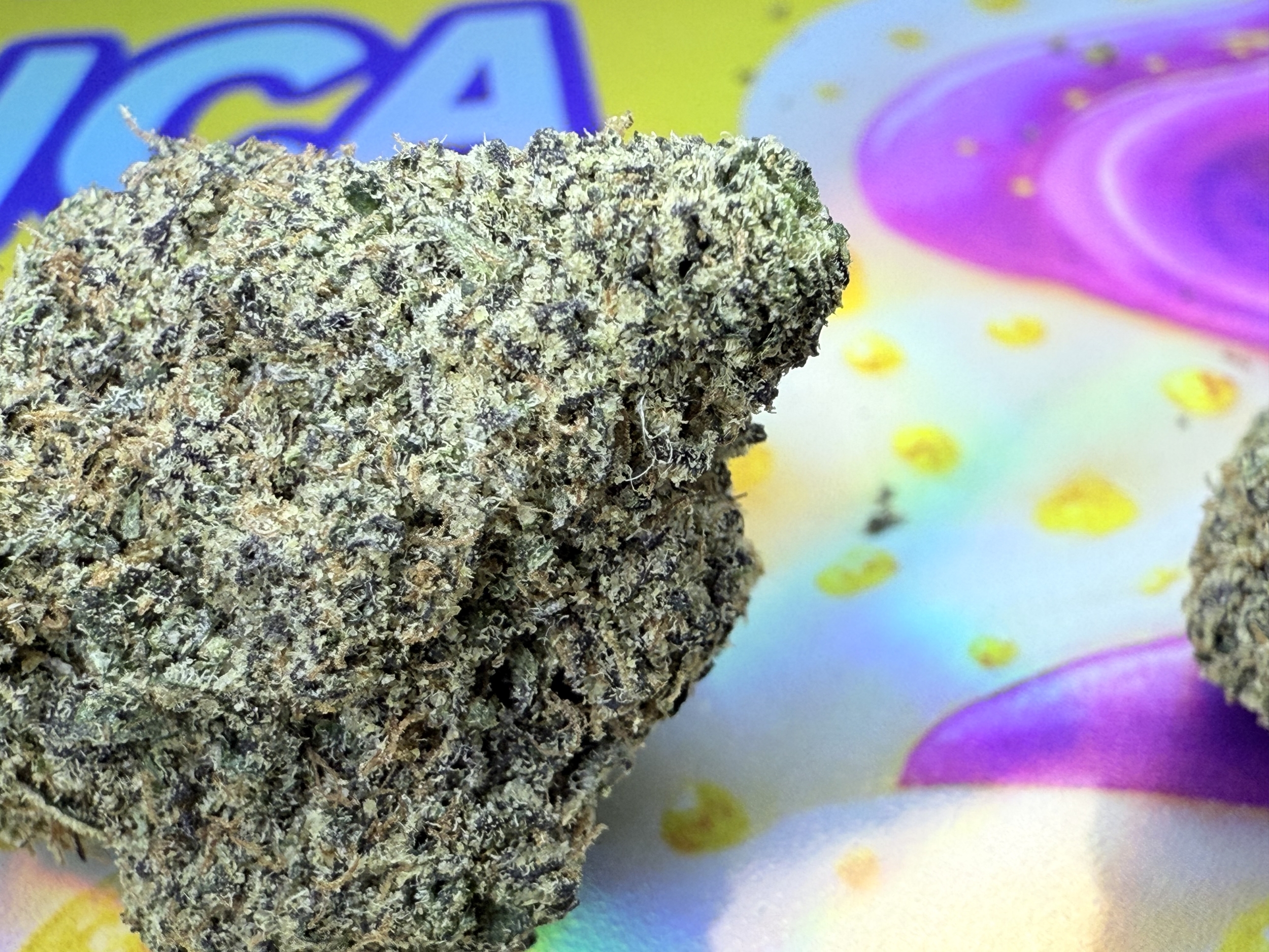 PURPLECREAM3GR11