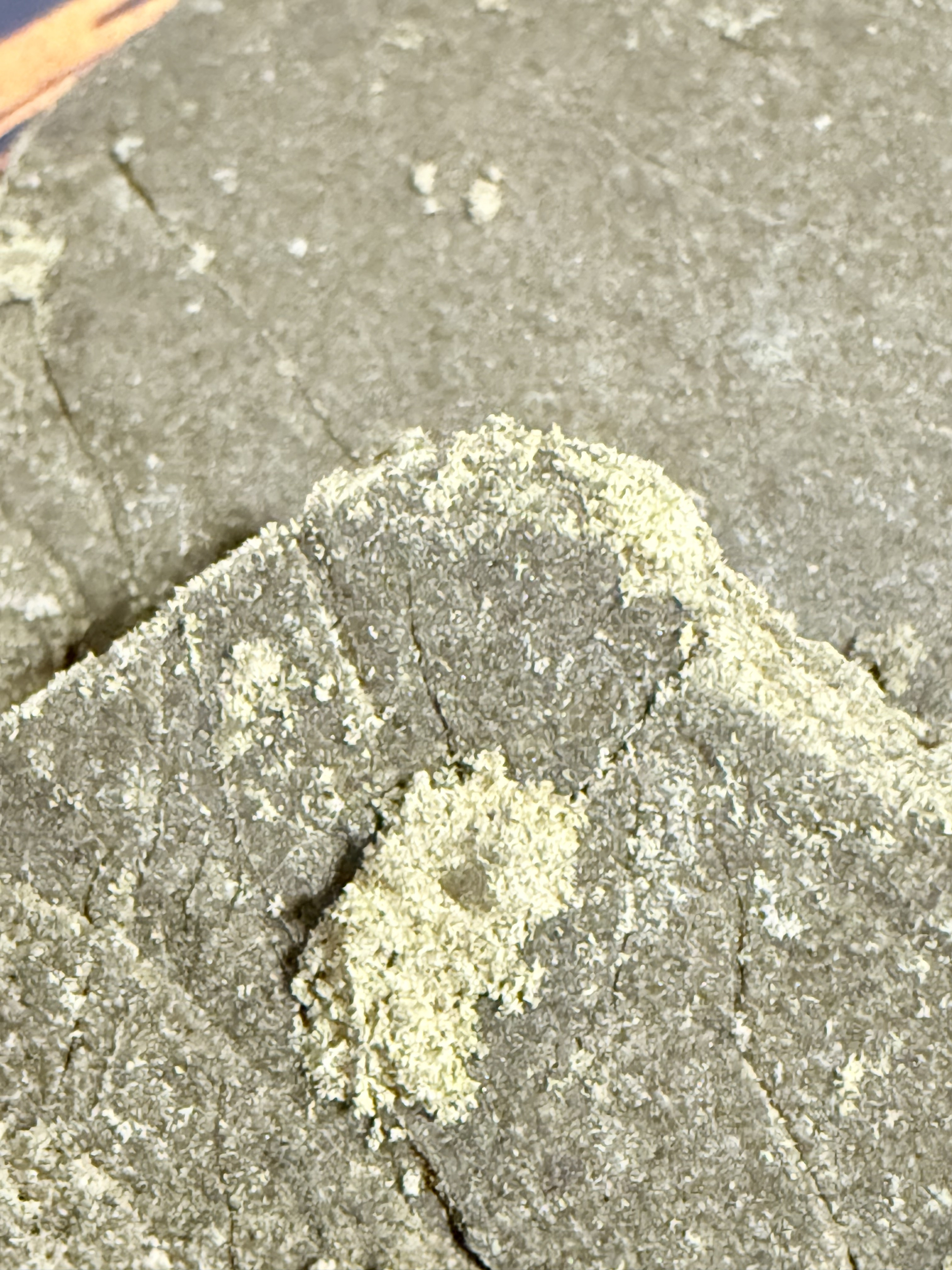 ACHAT THCA - THCA FRANCE - SHOP THCA - THCA NATUREL - THCA USA