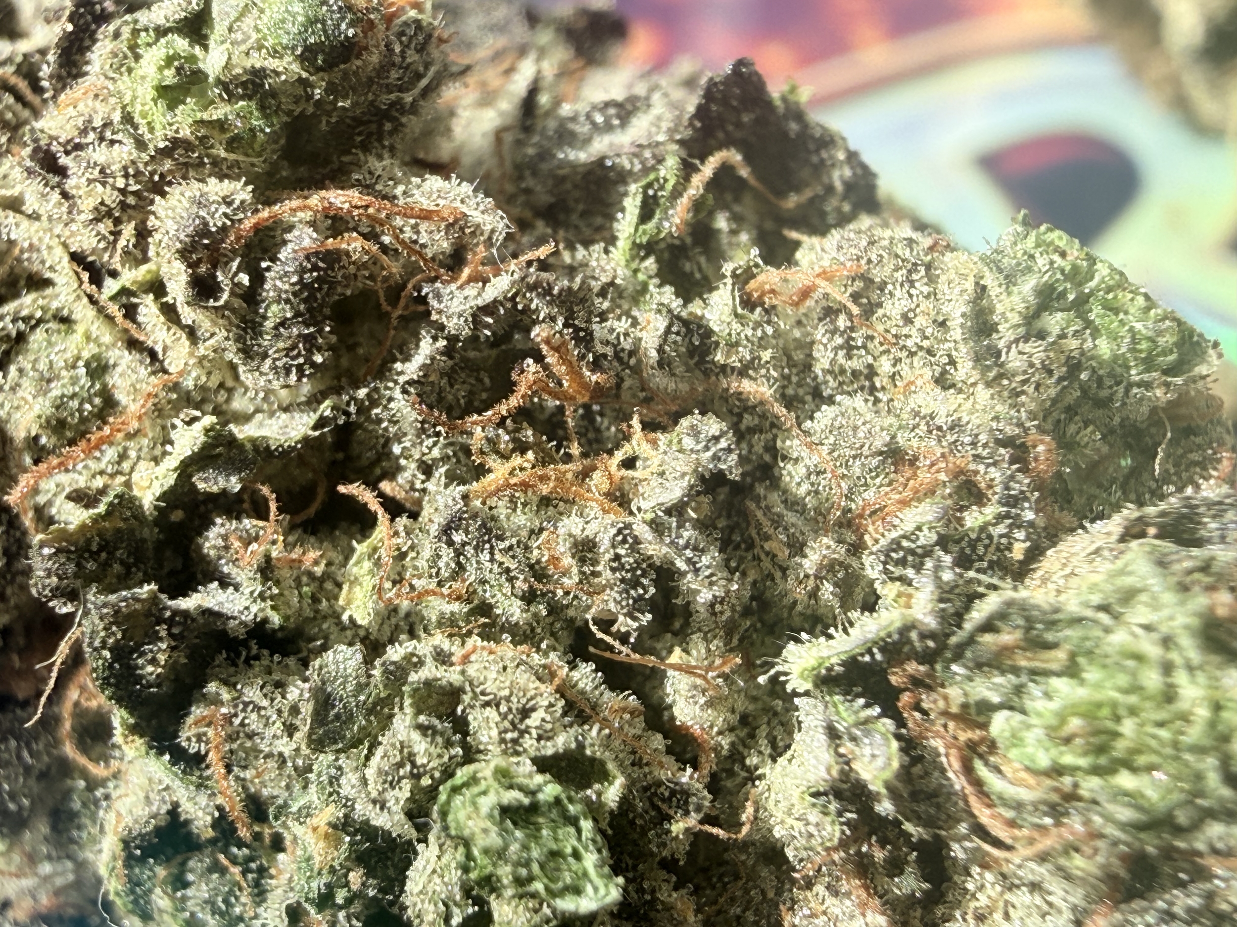 ACHAT THCA NATUREL - THCA USA - THCA LEGAL - THCA PREMIUM