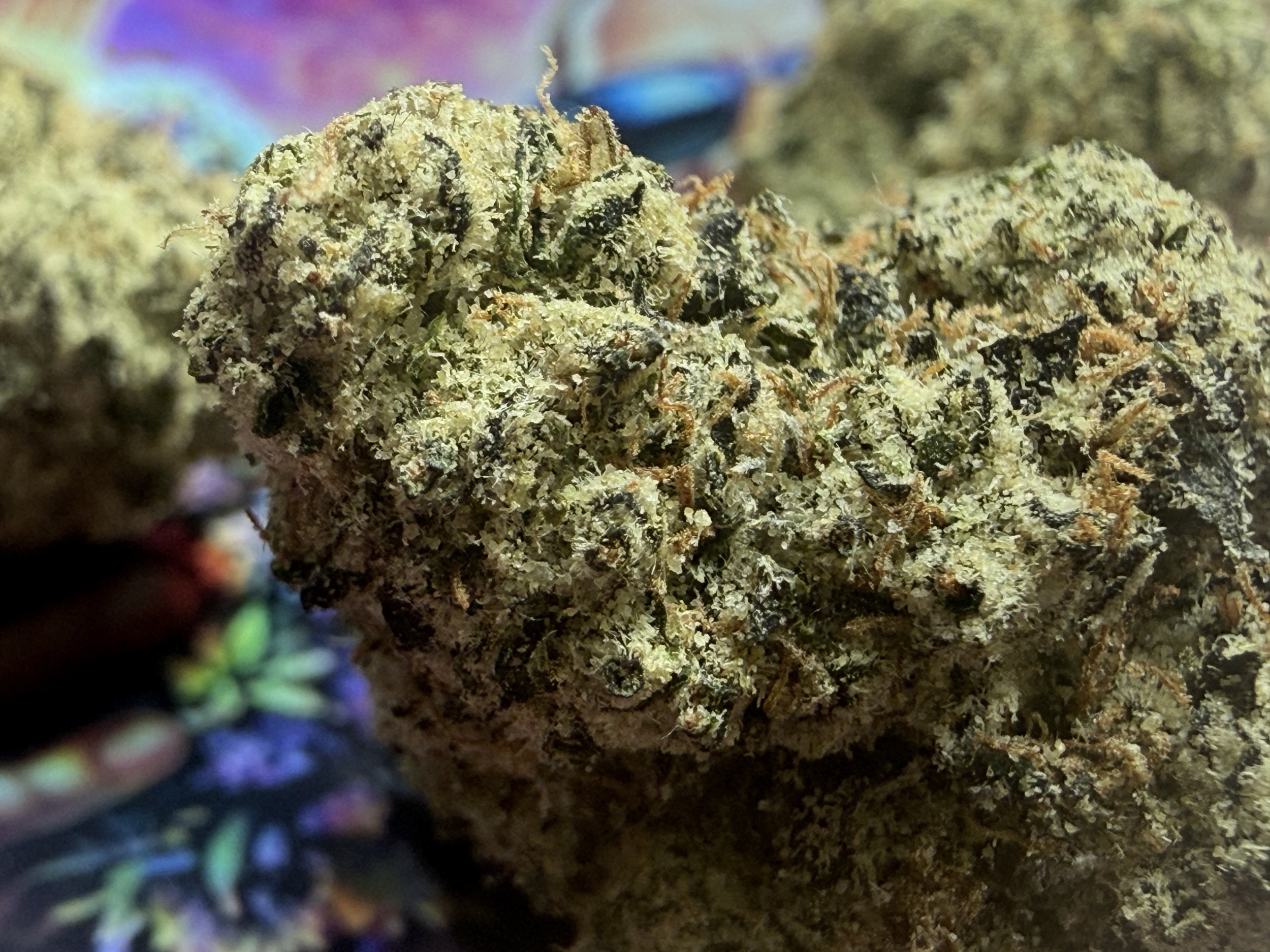 obama runtz AAAA+ - thca natuel - achat thca naturel -