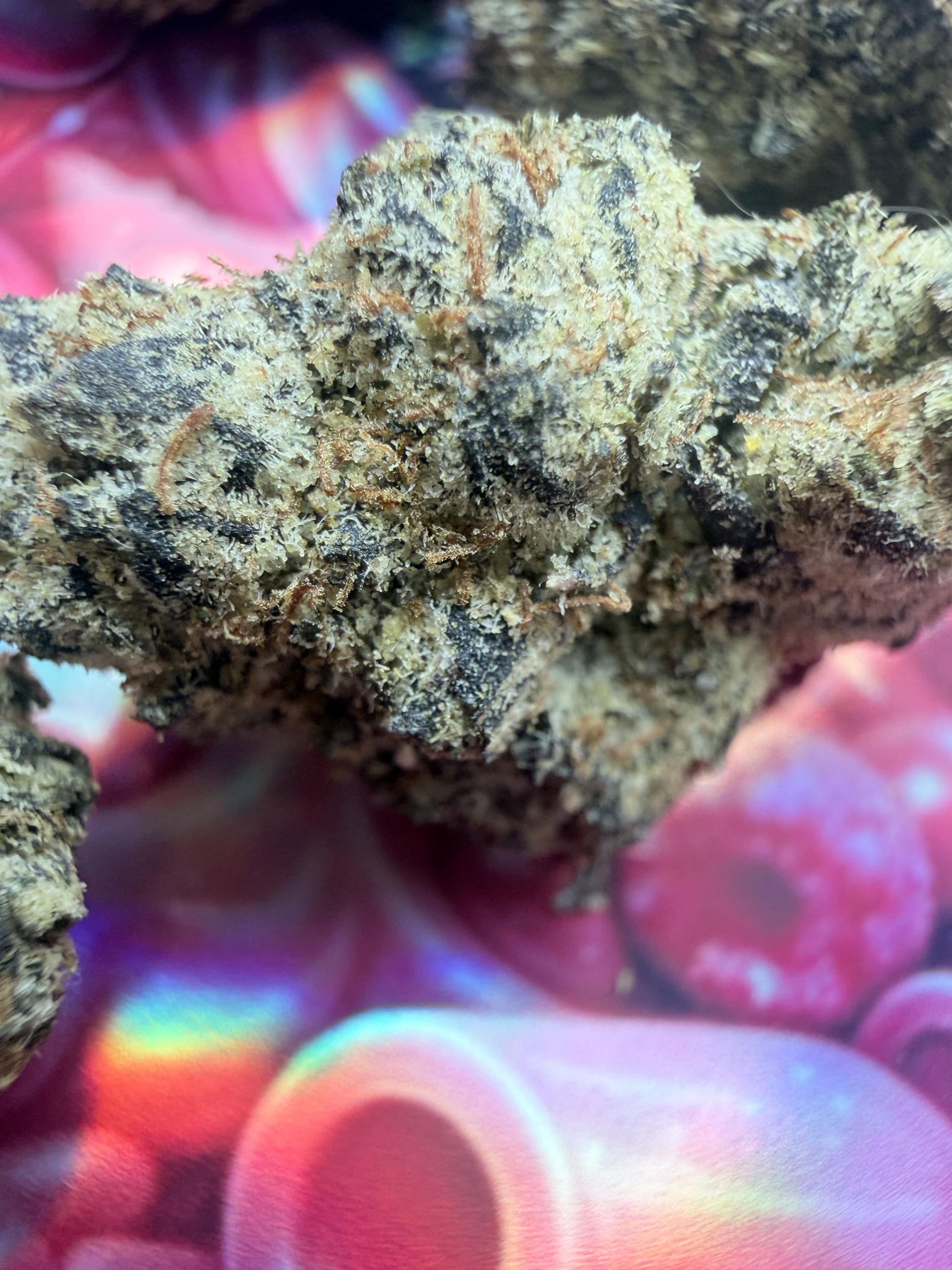 achat thca france - thca paris - thca europe - thca legal