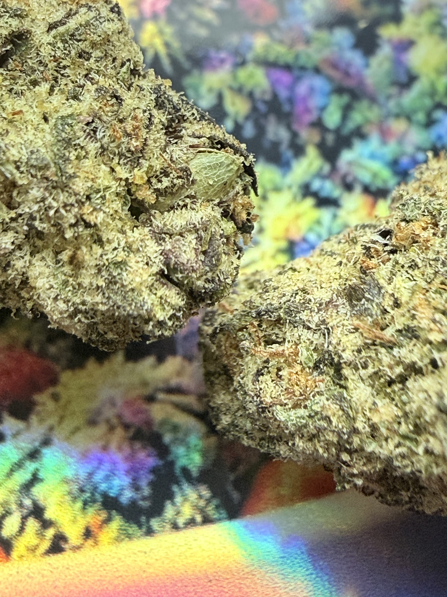 shop thca france - achat thca naturel - thca europe