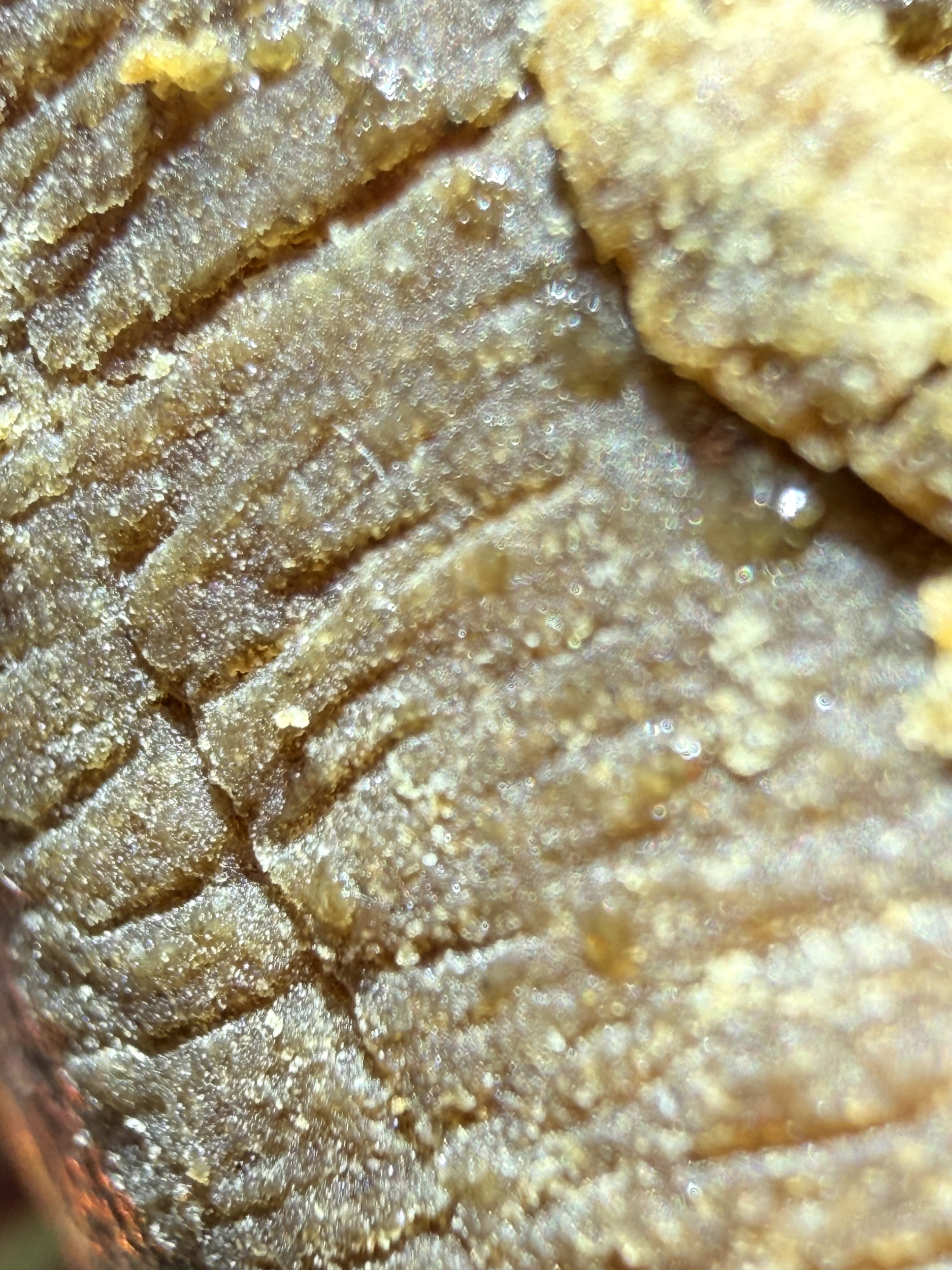 mnago hash thca - thca naturel - thca us - thca premium quality - achat thca - shop thca