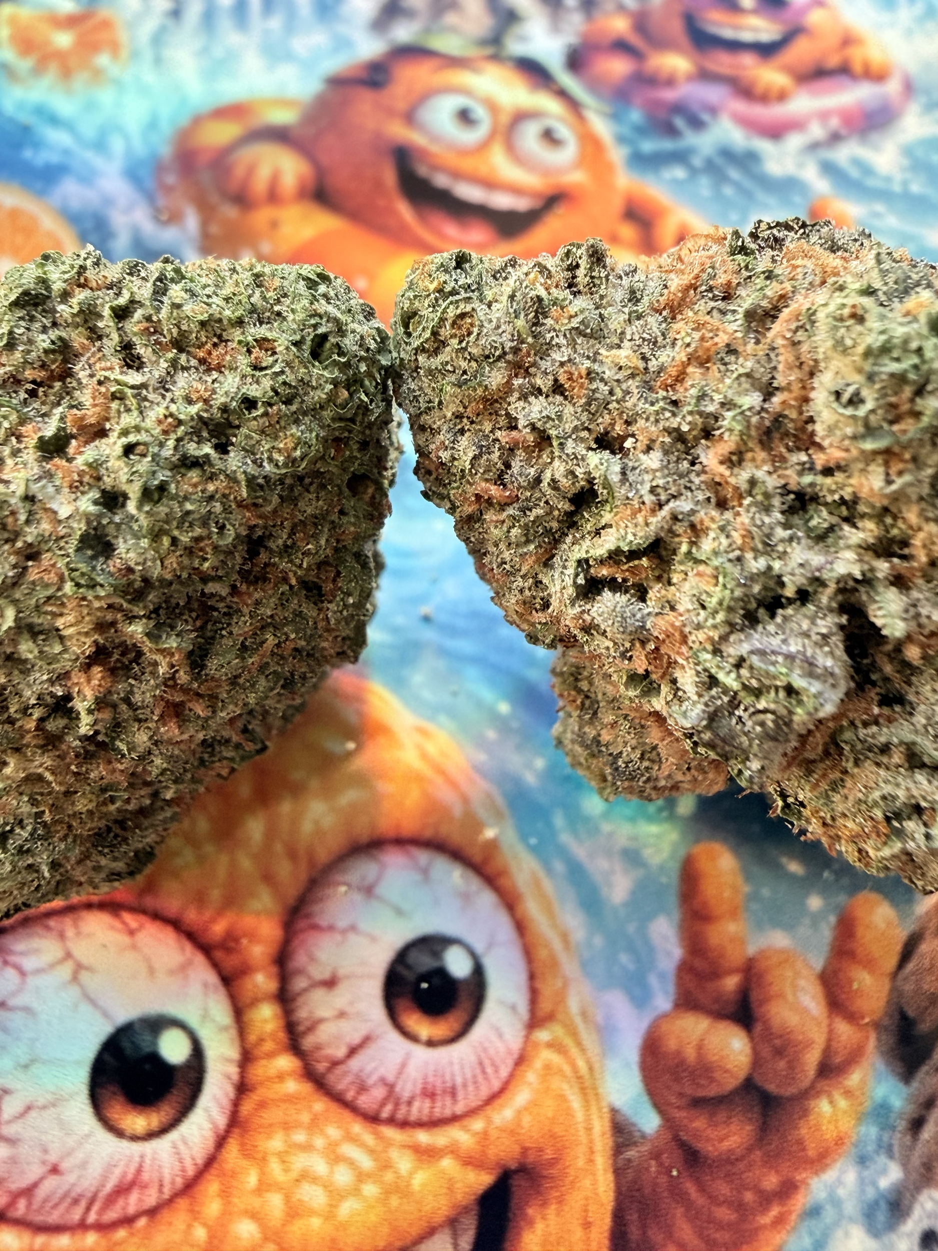 achat thca - shop thca - thca france - thca premium AAAA+ - thca naturel - thca non vaporise -thca usa