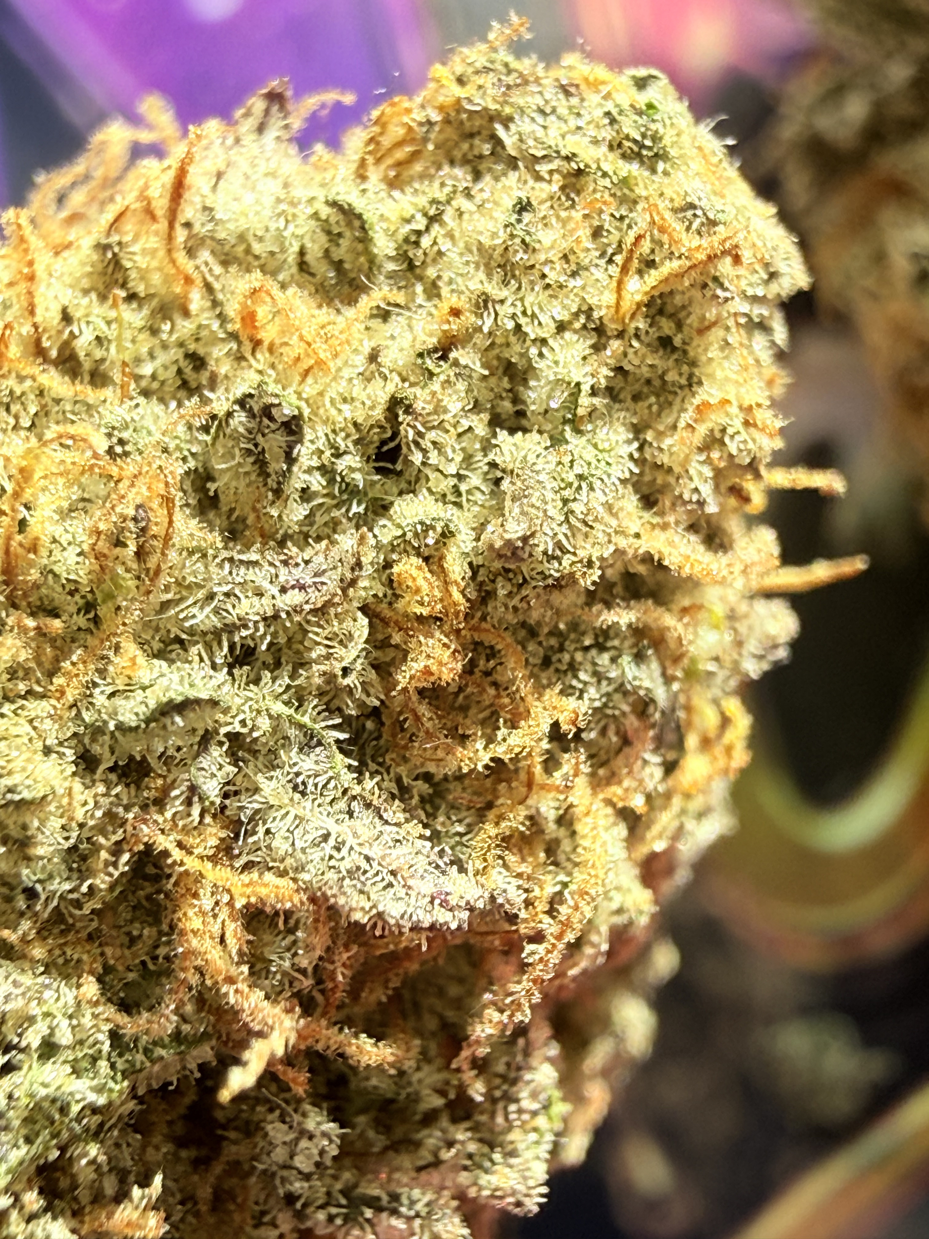 THCA FRANCE - THCA US - THCA NATUREL- SHOP THCA -