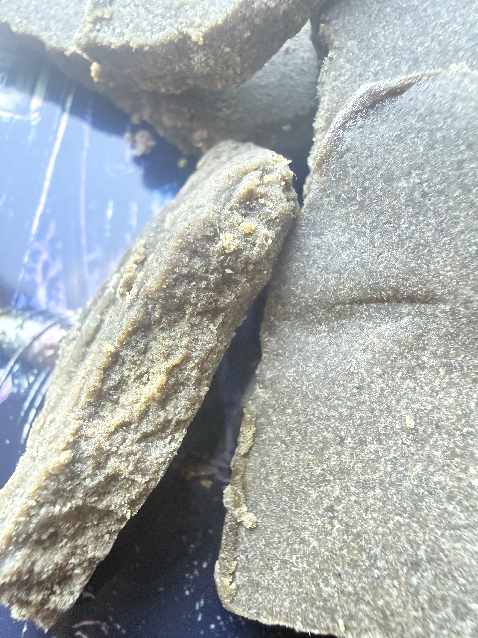 ACHAT THCA NATUREL THCA FRANCE SHOP THCA ACHAT THCA FRANCE (4)