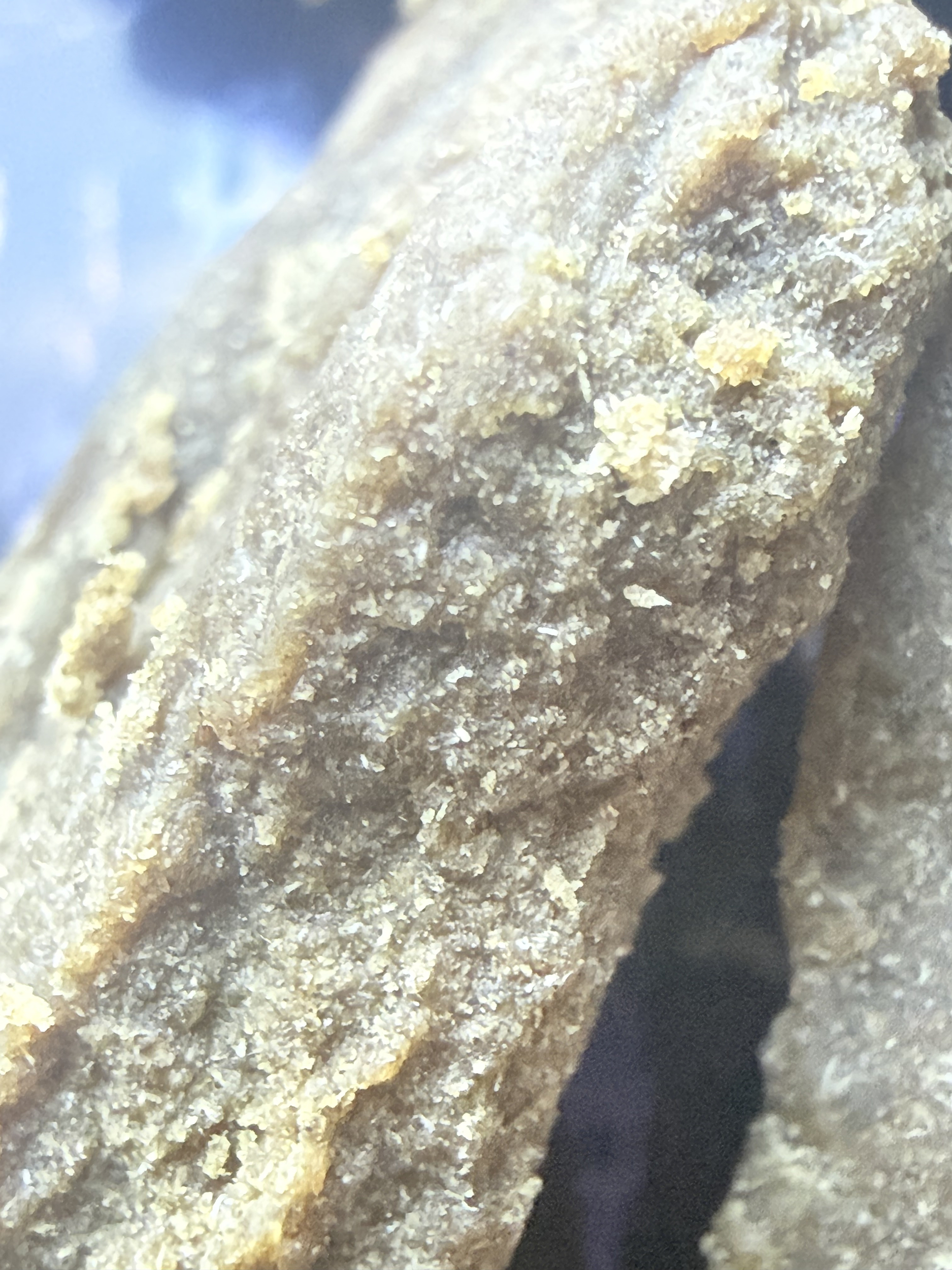 ACHAT THCA NATUREL THCA FRANCE SHOP THCA ACHAT