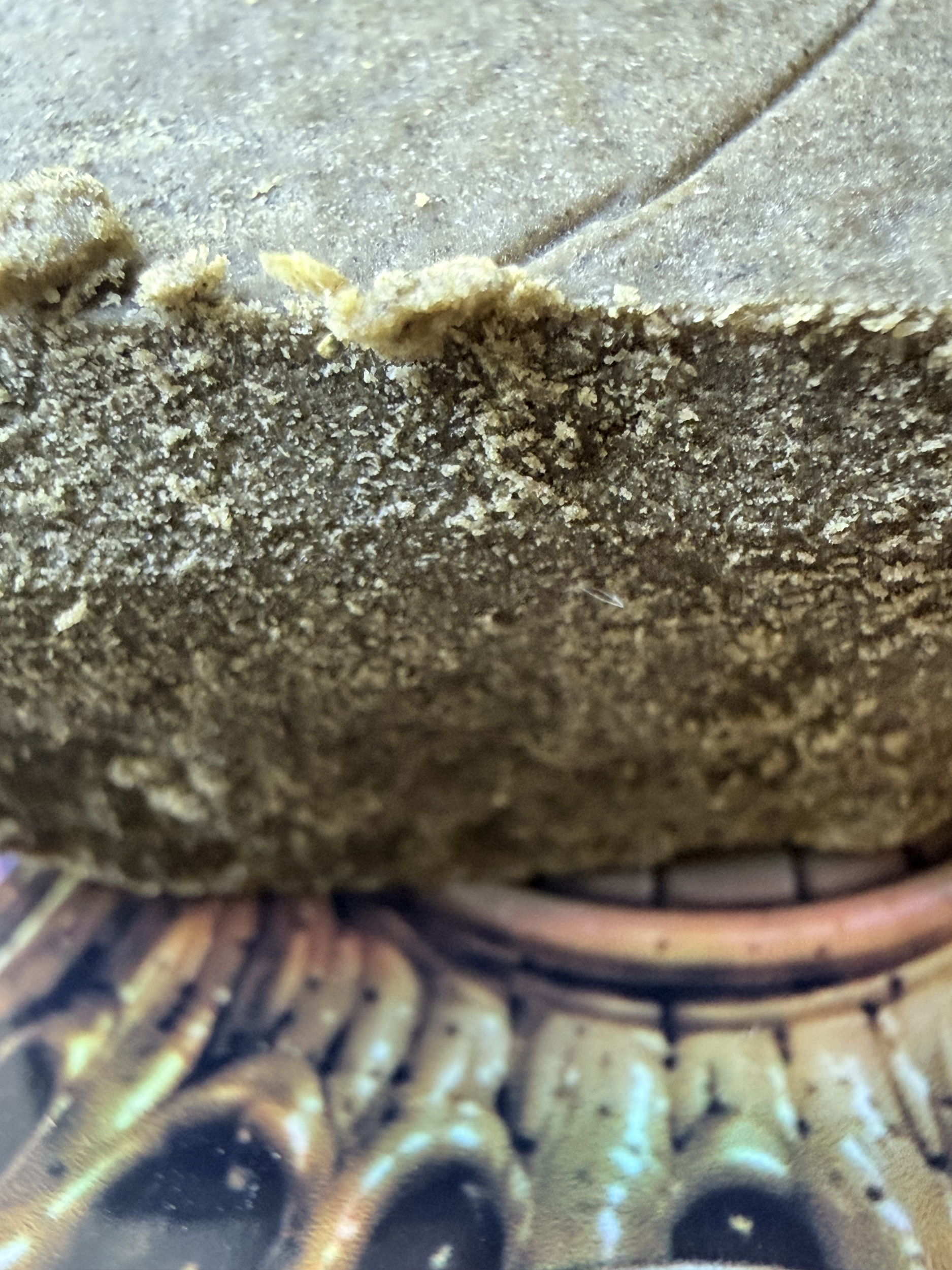thca france - achat thca - thca naturel - thca legal - thca premium AAAA - thca us (2)