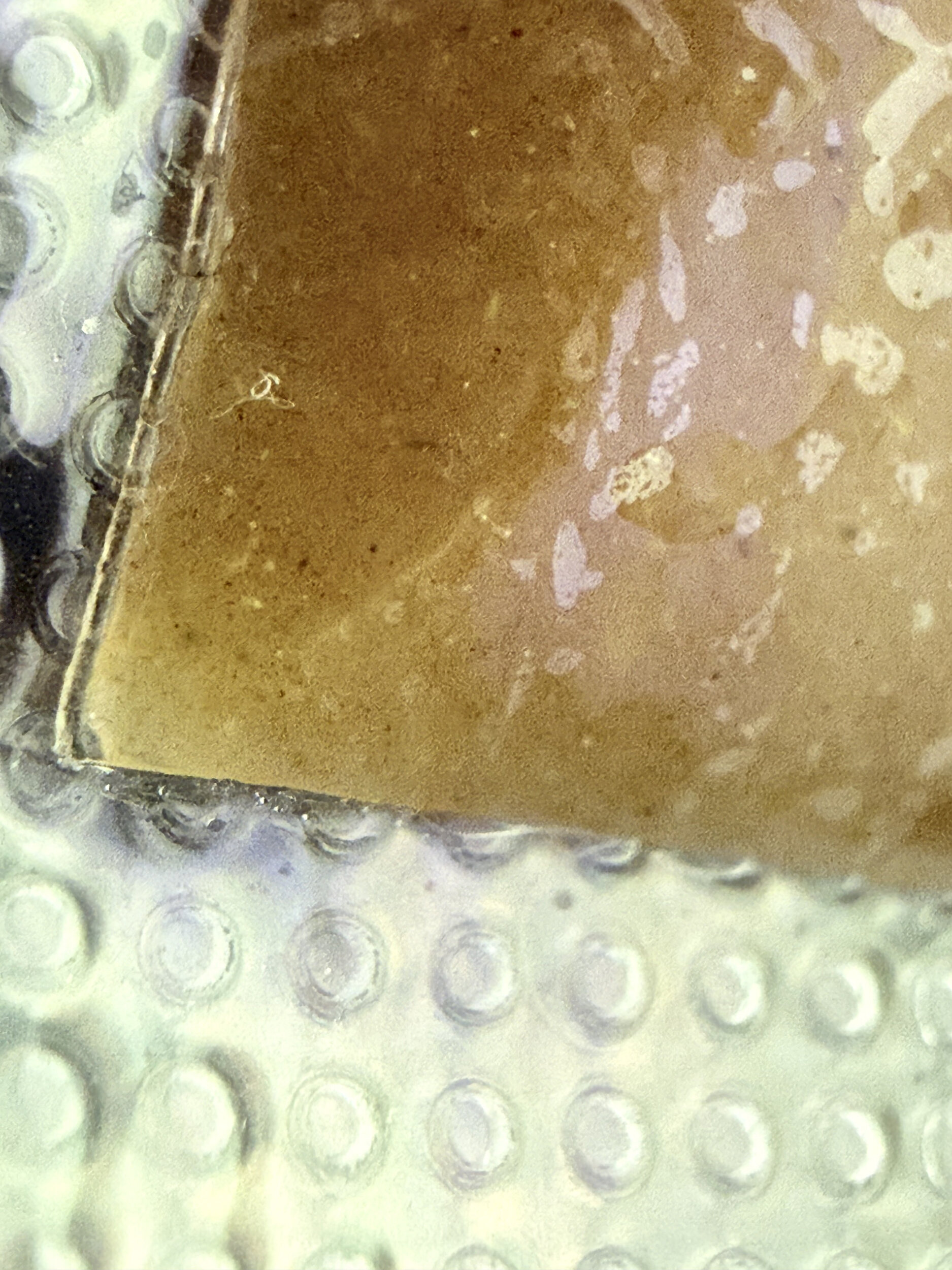 sour zkittlez thca