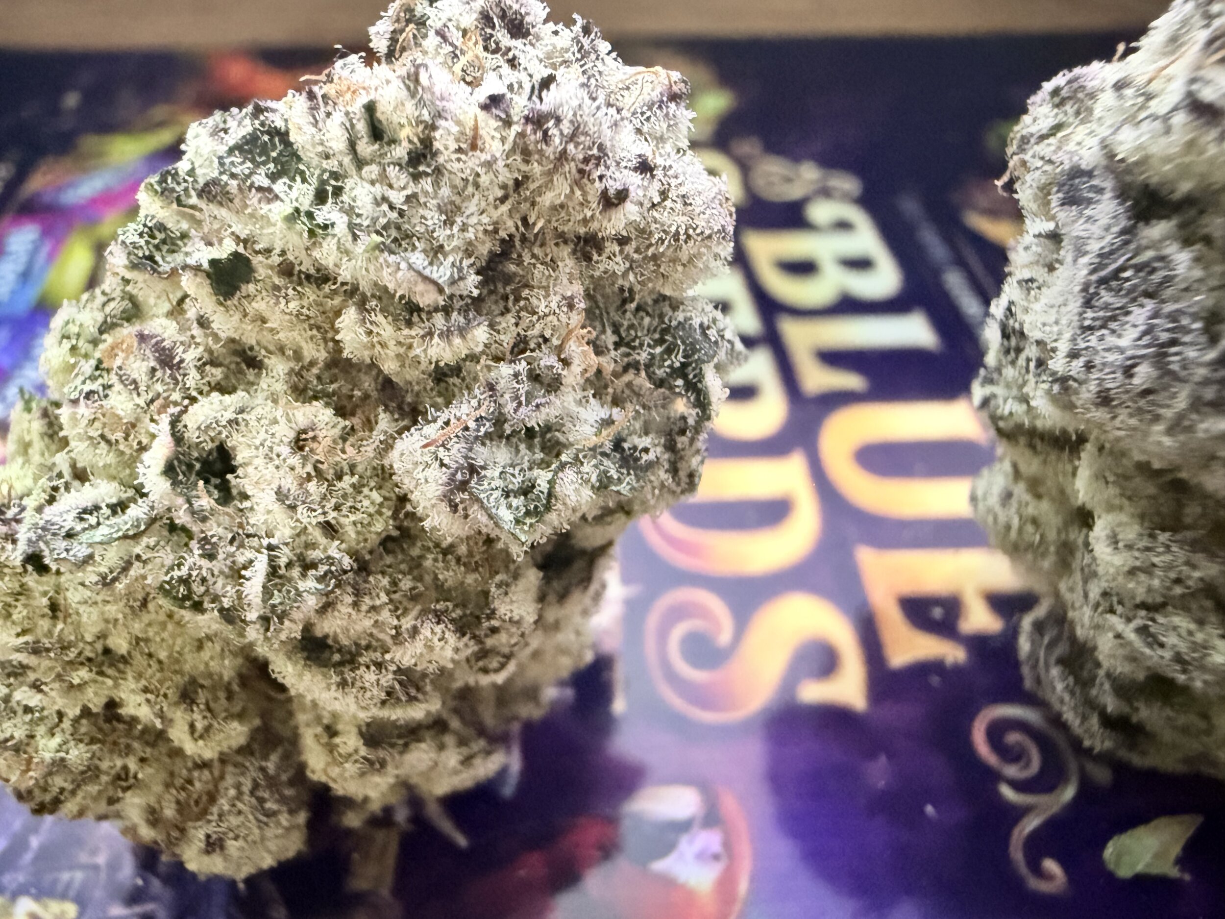 blue nerds fleurs thca - shop thca jungle dream