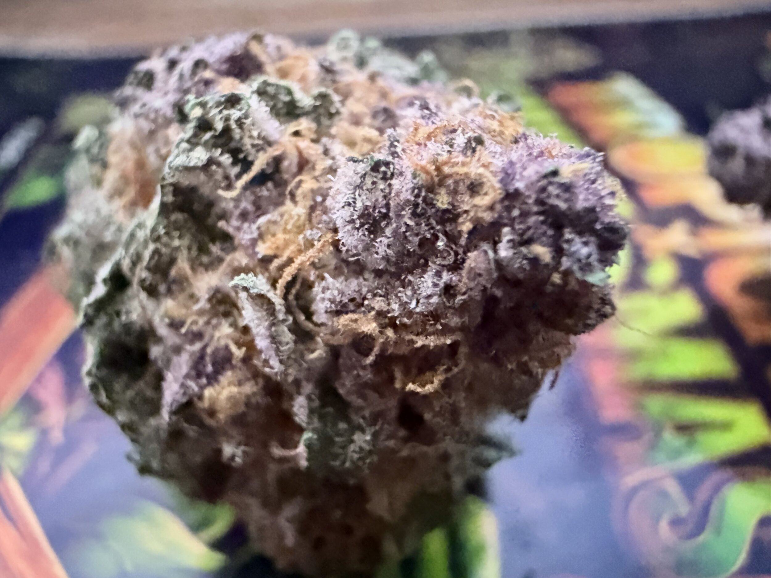 cherry fleurs thca  (2)
