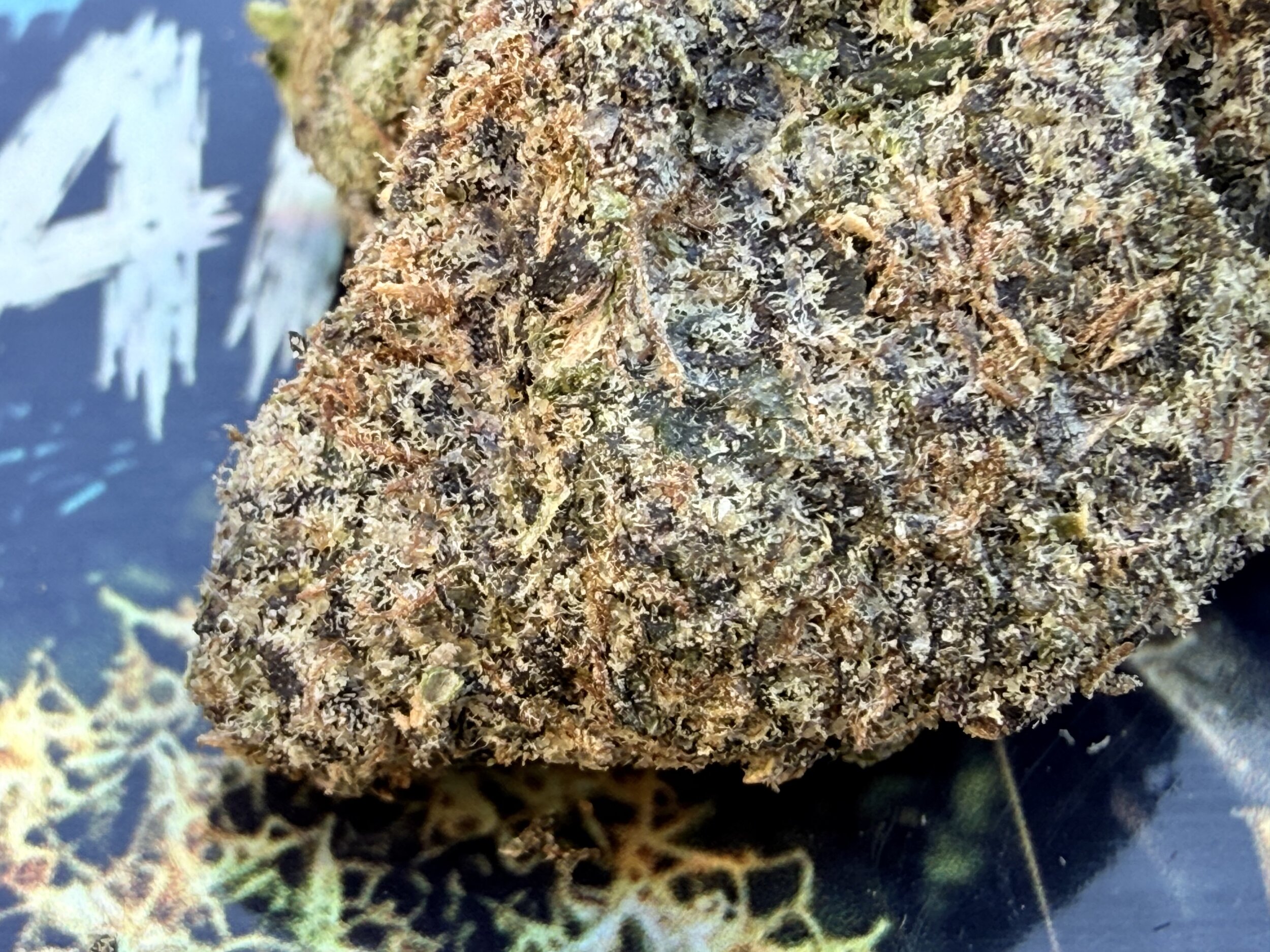 thca naturel jungle dream