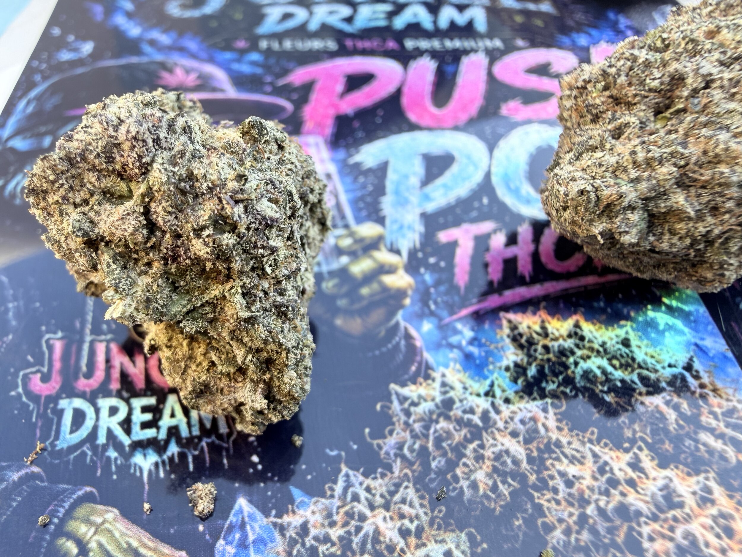 push pop thca (2)