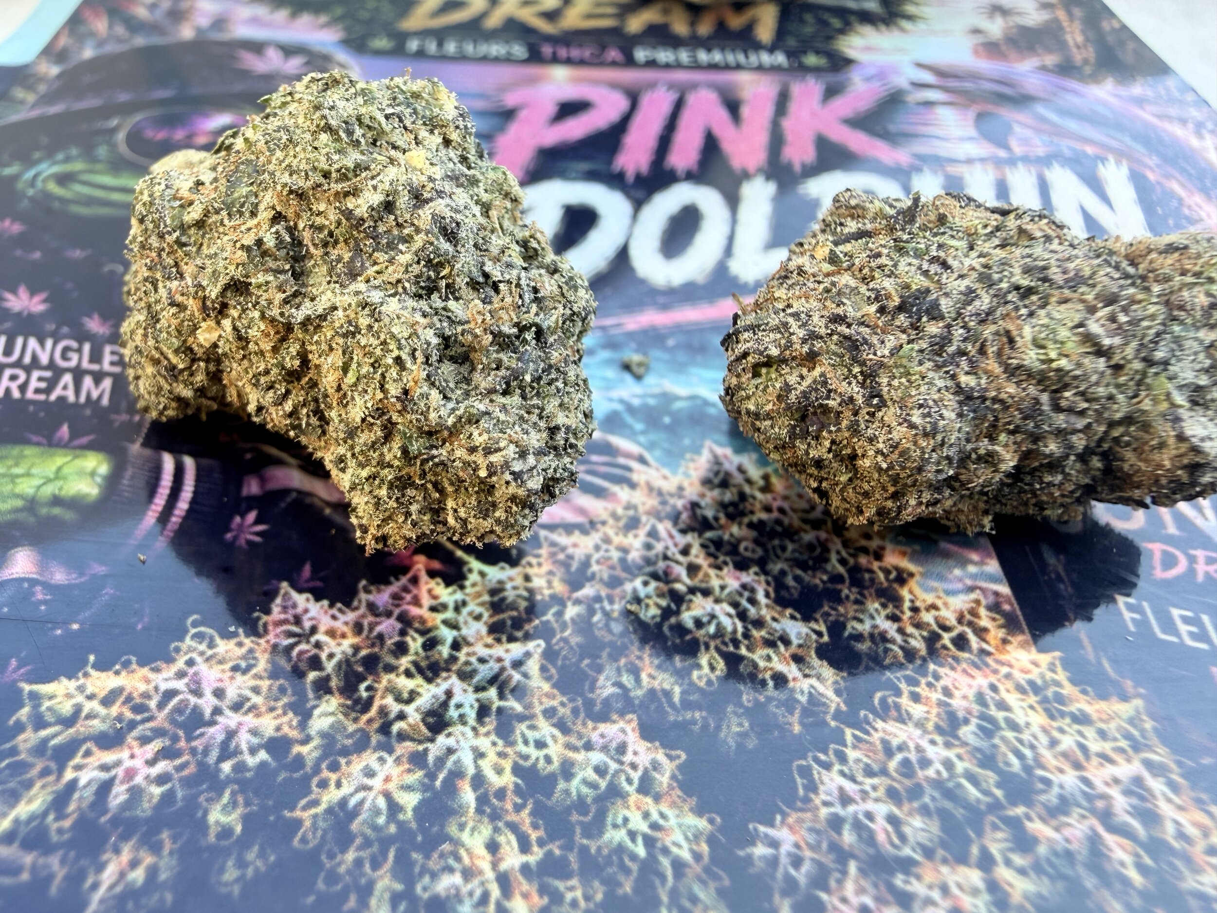 pink dolphin thca