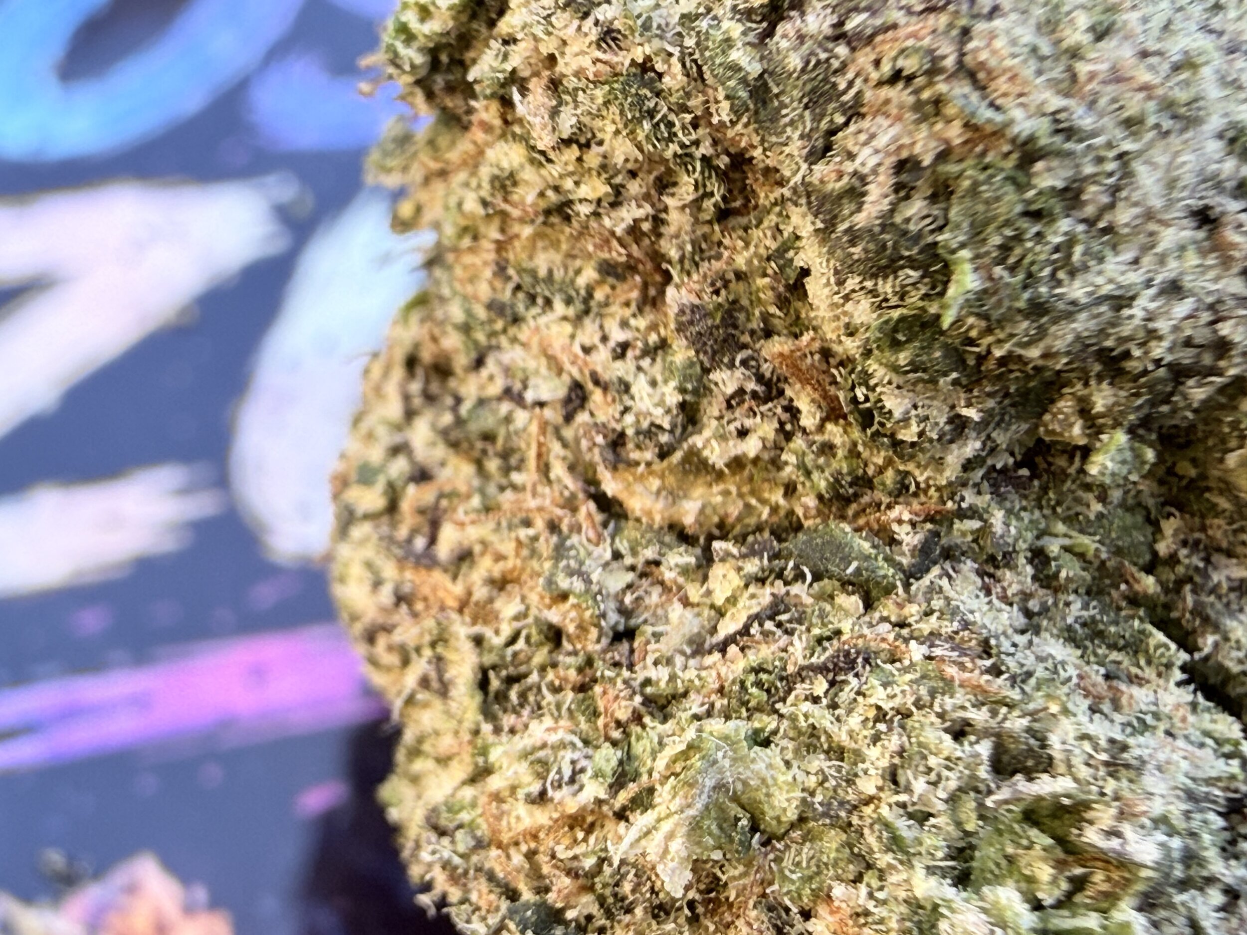 shop thca jungle dream
