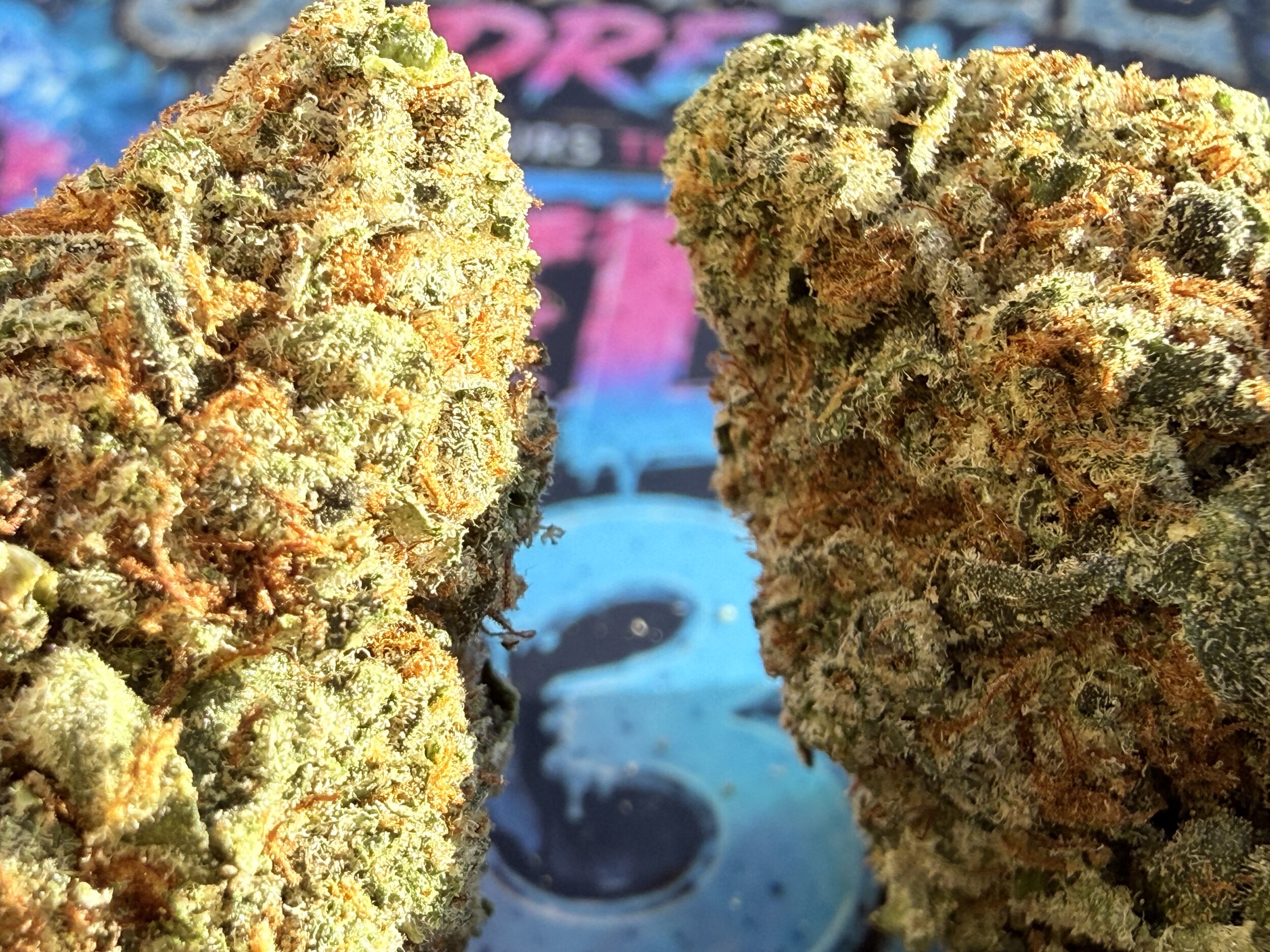 SHOP THCA (2)