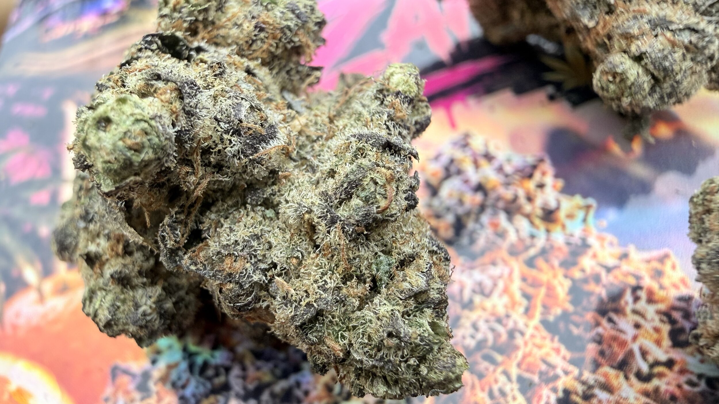 ZANG BANGER THCA PEMIUM