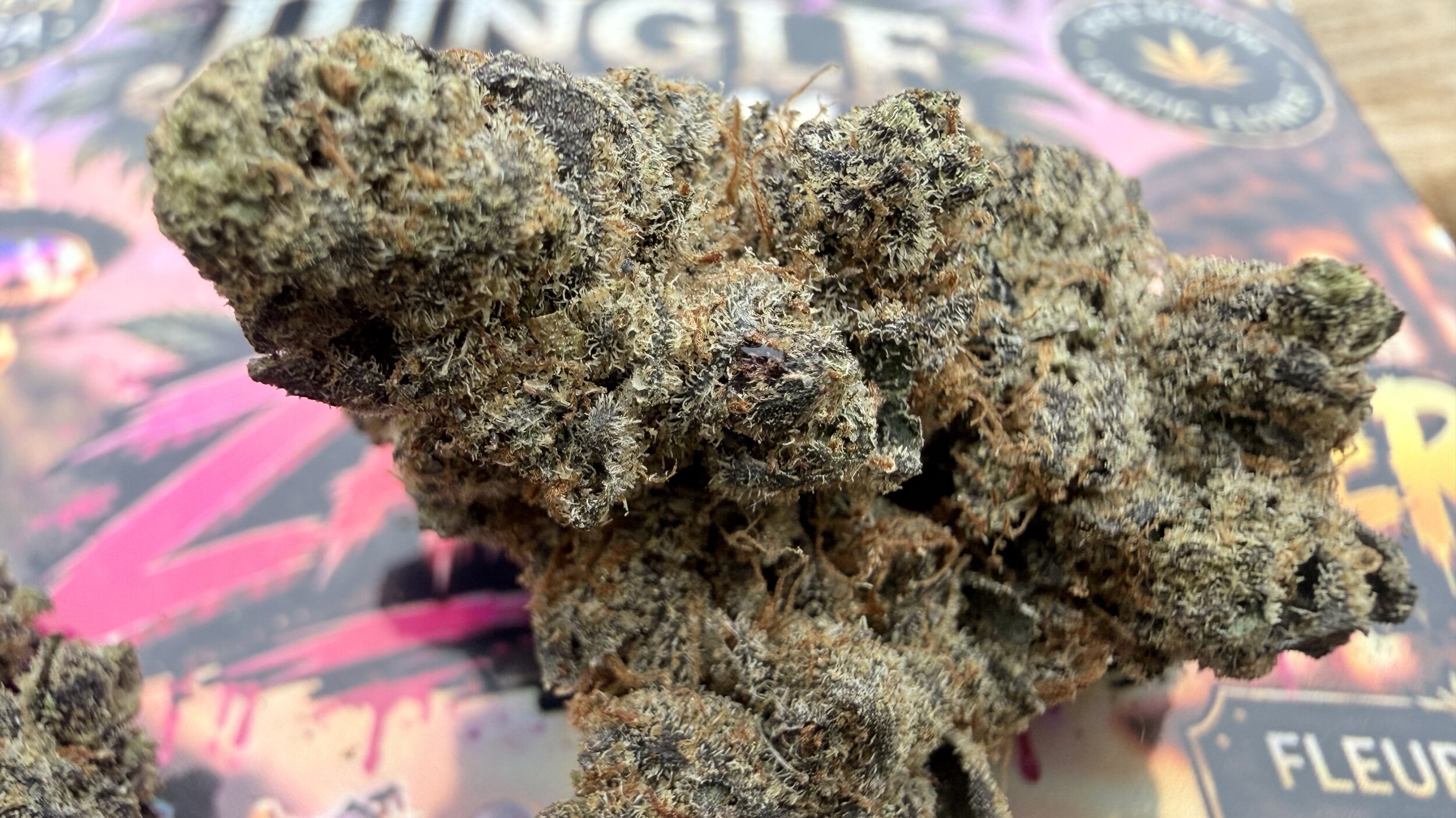 ZANG BANGER THCA