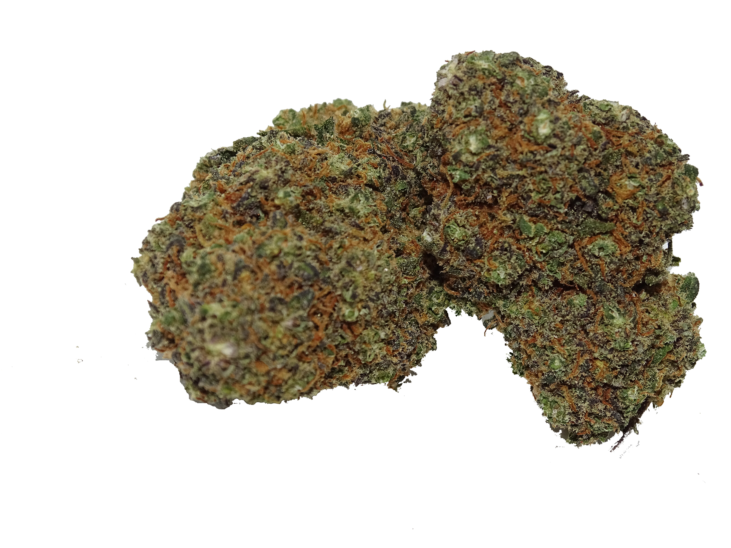 BlueBerry Hydro